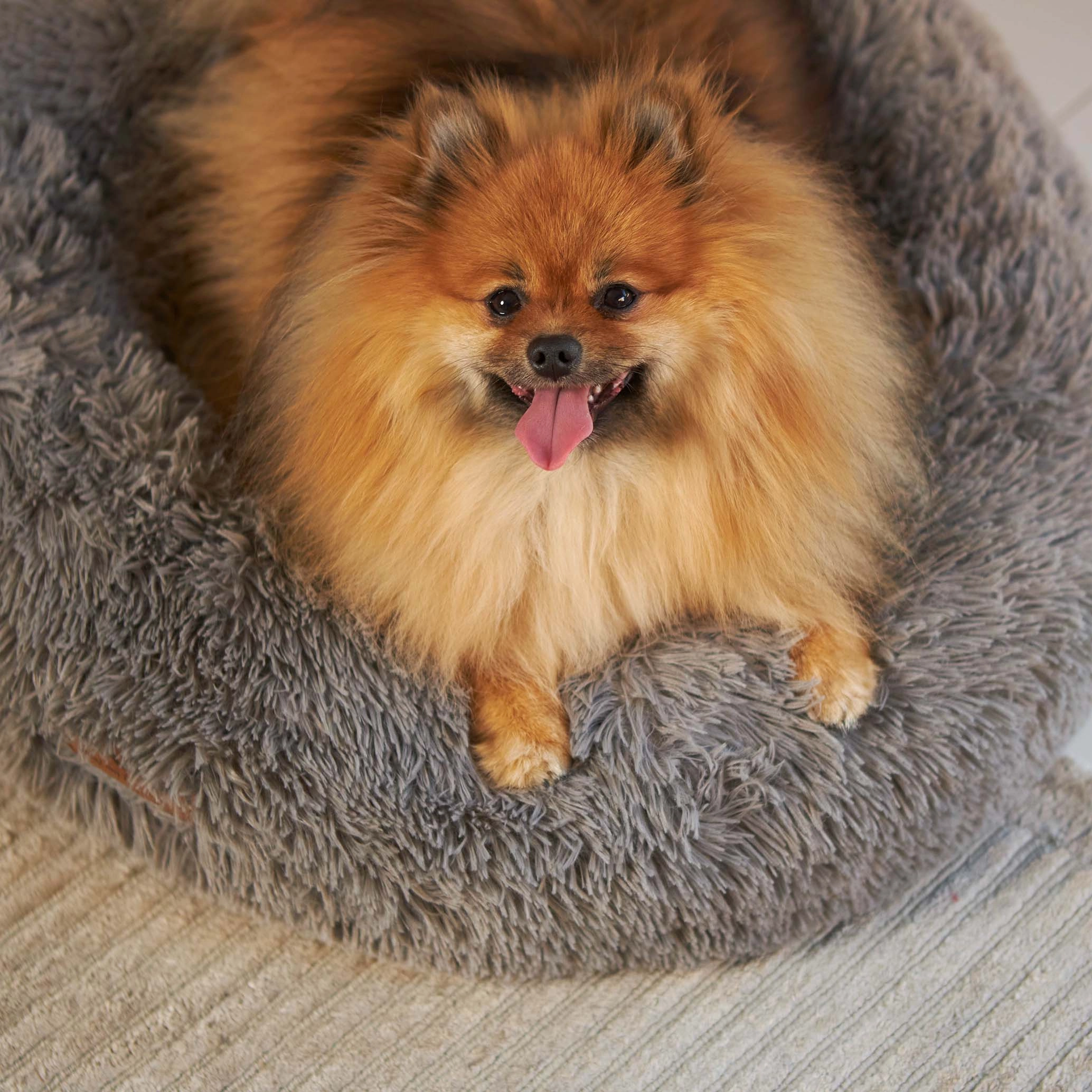 Peacock Dog Bed - Mud
