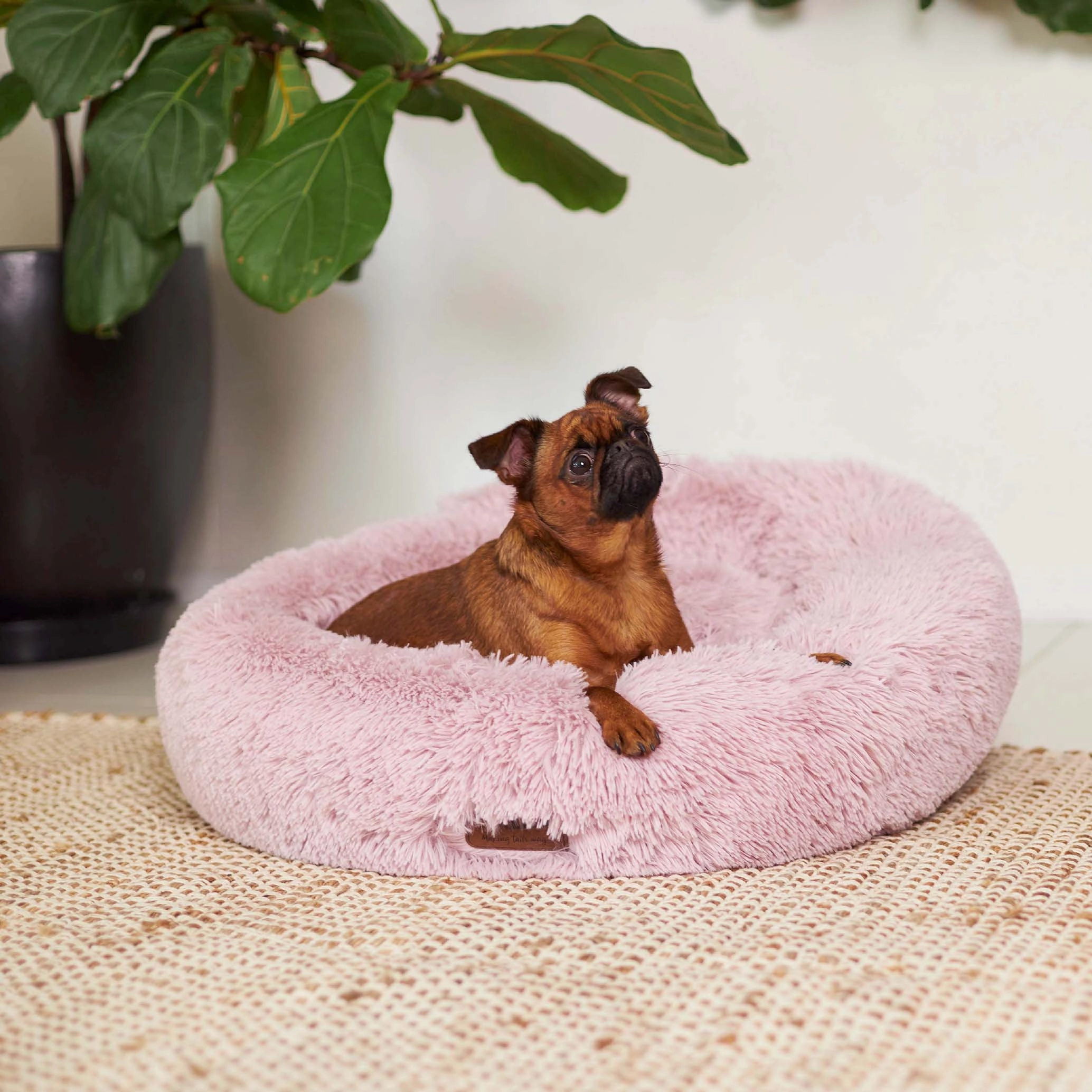 Peacock Dog Bed - Rose