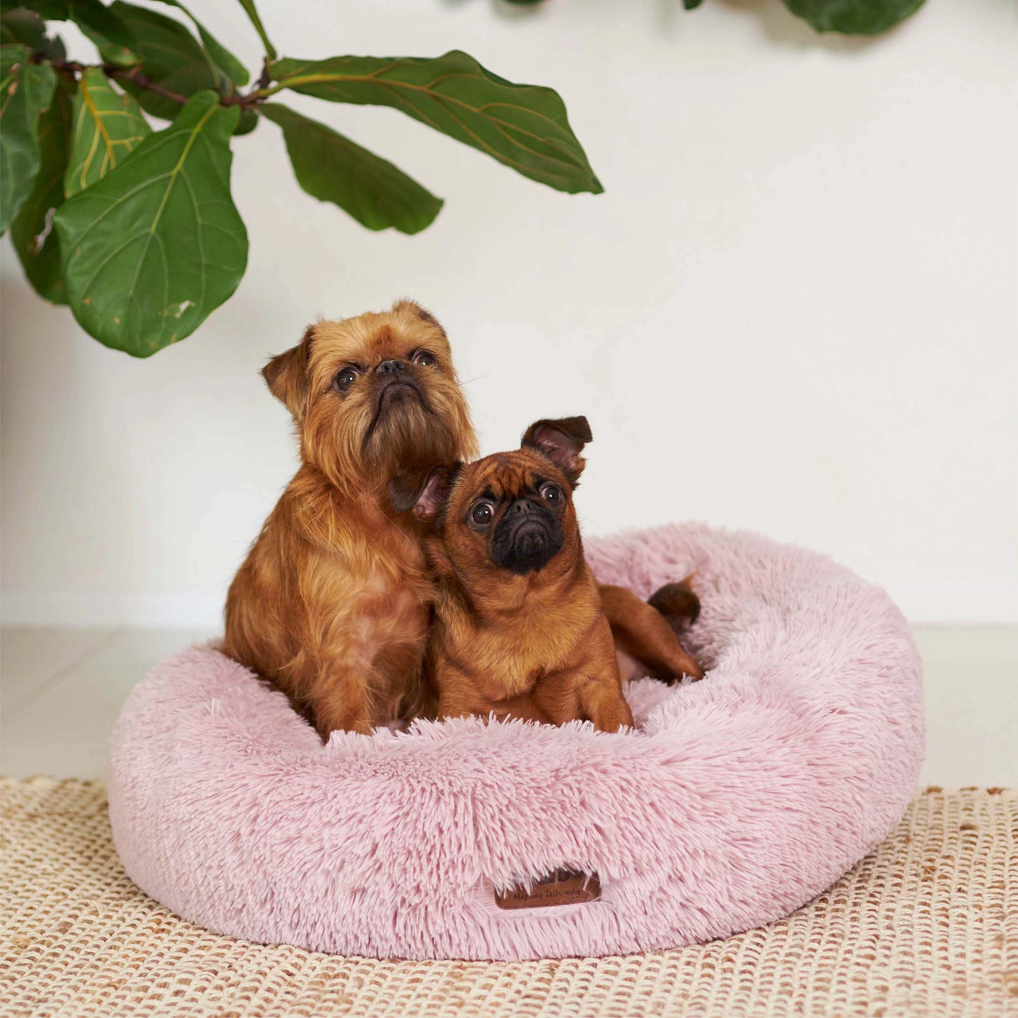 Peacock Dog Bed - Rose