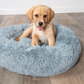 Peacock Dog Bed - Seafoam