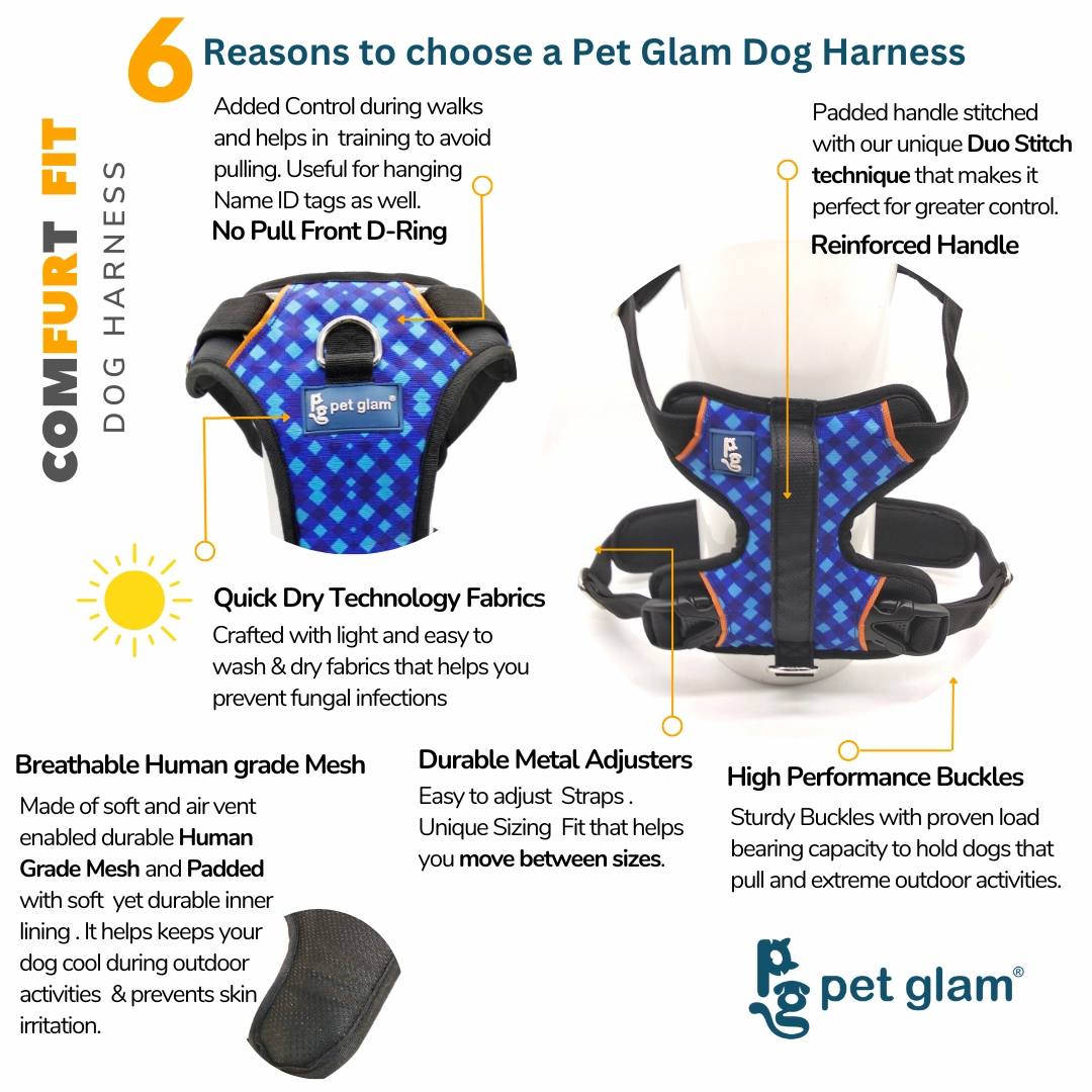Pet Glam Dog Harness Bailey Blue