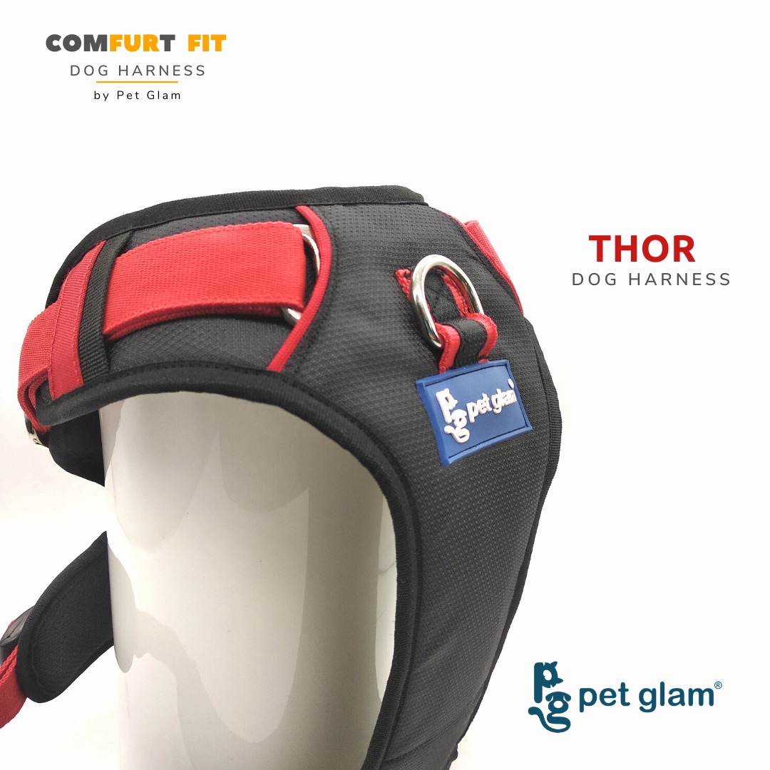 Pet Glam Dog Harness THOR