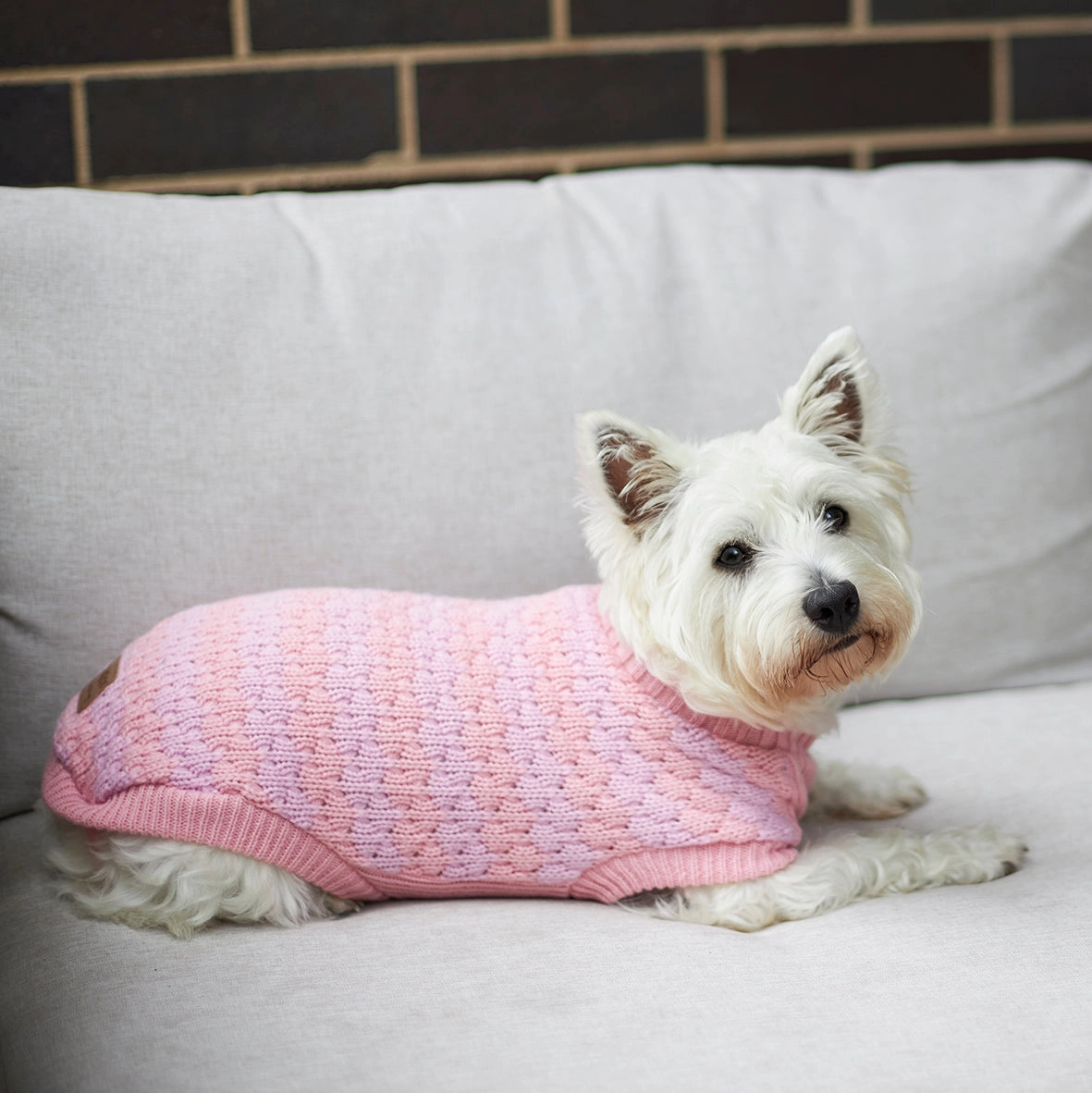 Pink Posy Dog Jumper