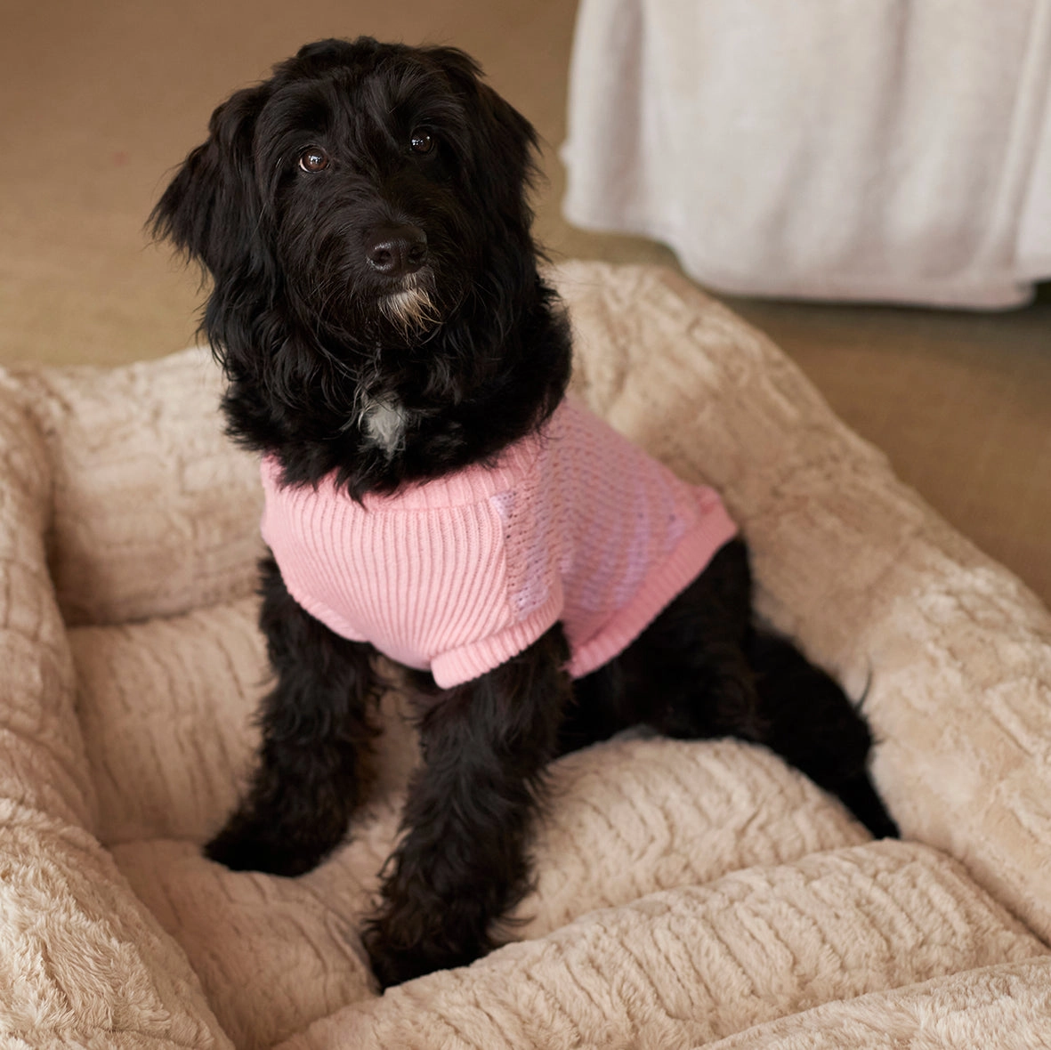 Pink Posy Dog Jumper