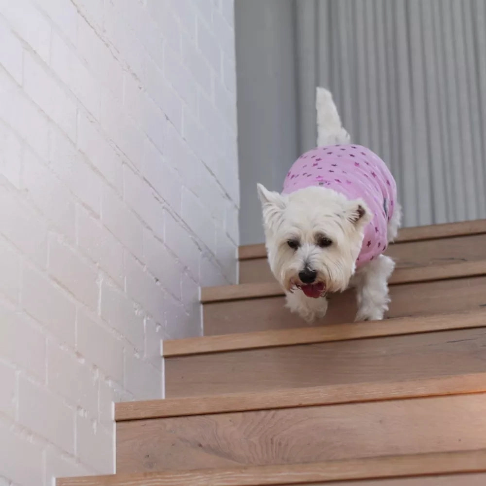 Pink Star Soft Dog Jacket