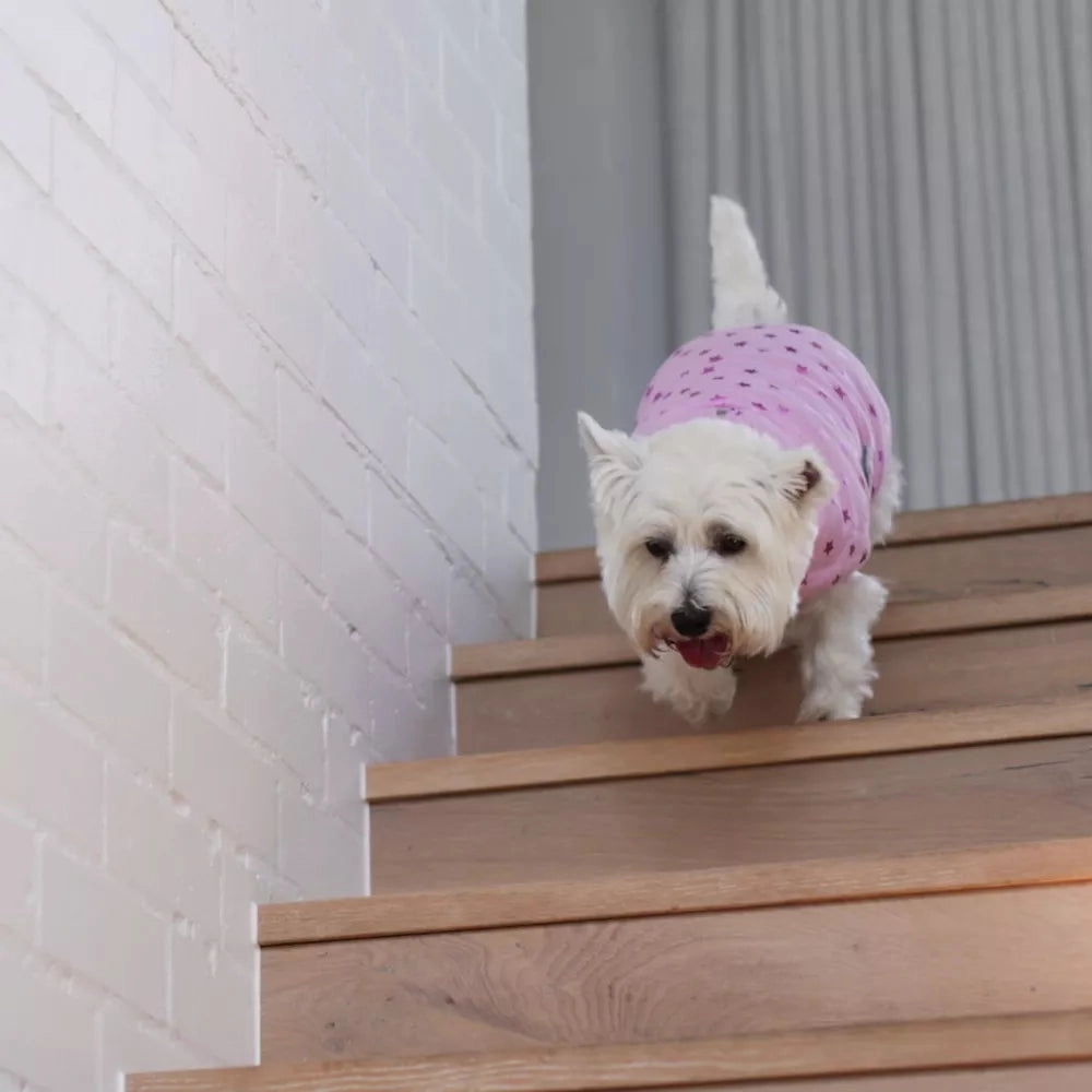 Pink Star Soft Dog Jacket