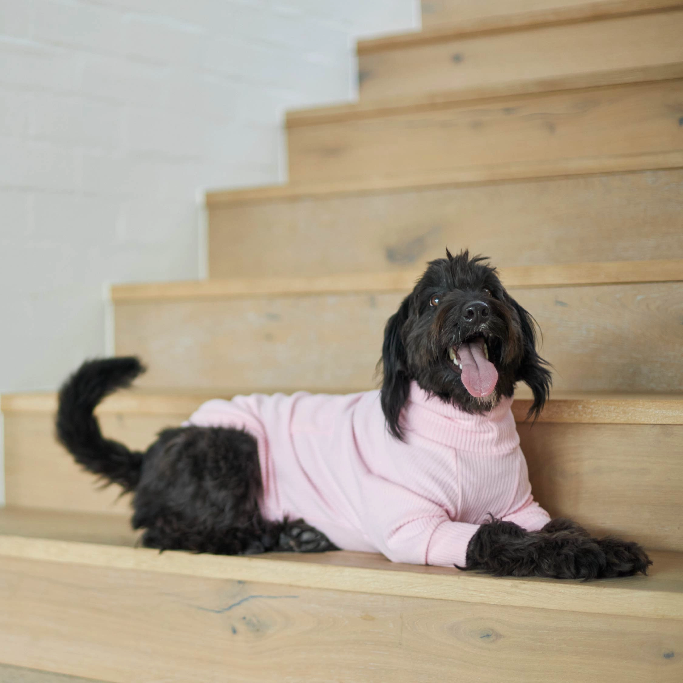 Pooch Dog Pyjamas - Pink