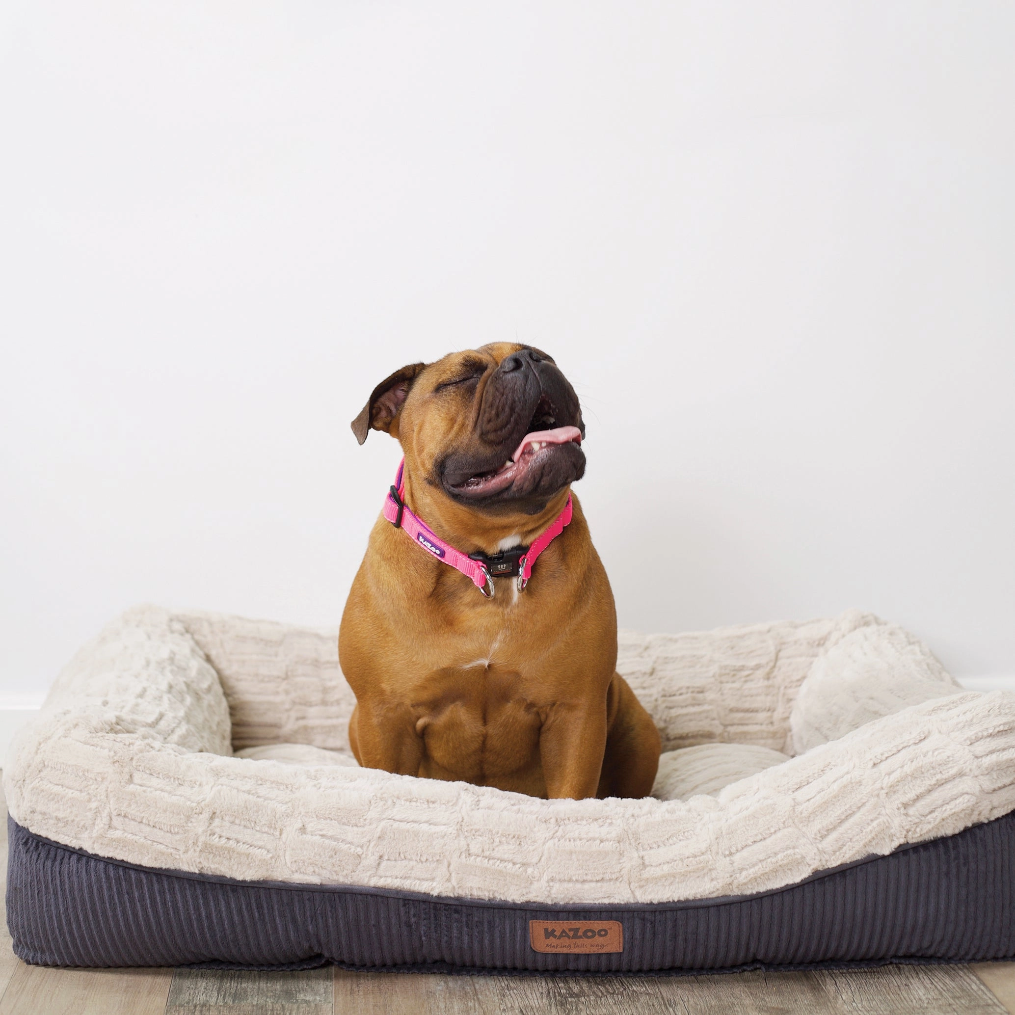 Possum Dog Bed