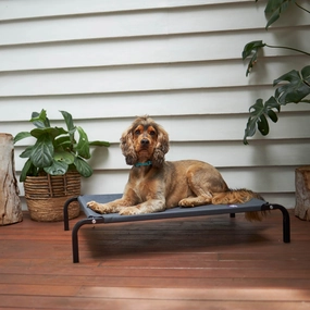 Premium Outdoor Dog Bed - Charcoal