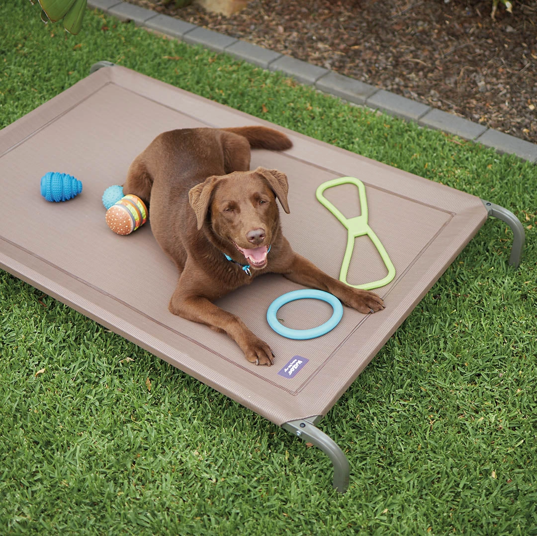 Premium Outdoor Dog Bed