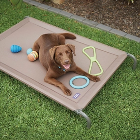 Premium Outdoor Dog Bed