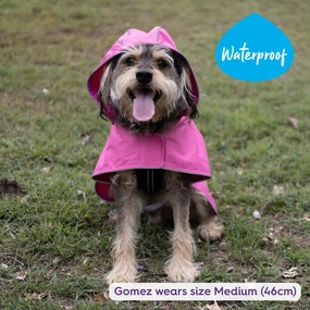 DOG RAINCOATS