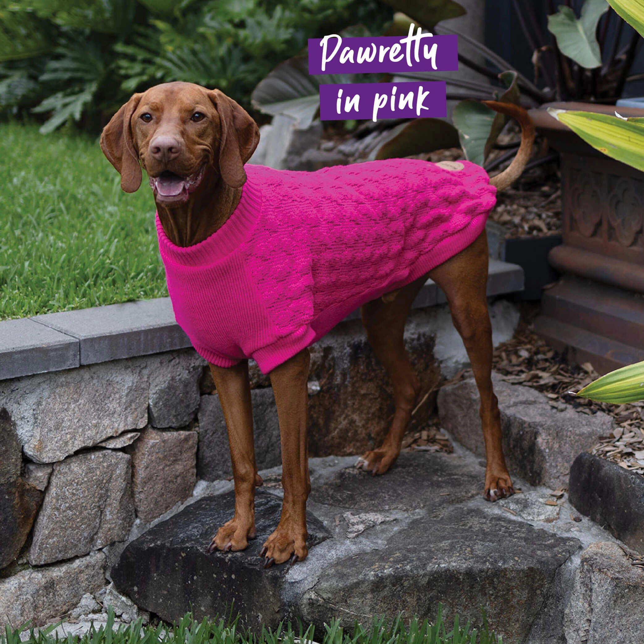 Raspberry Pink Dog Jumper