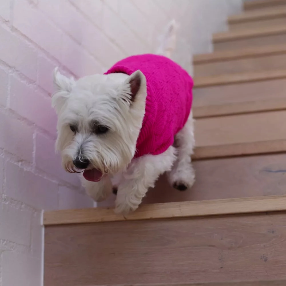 Raspberry Pink Dog Jumper