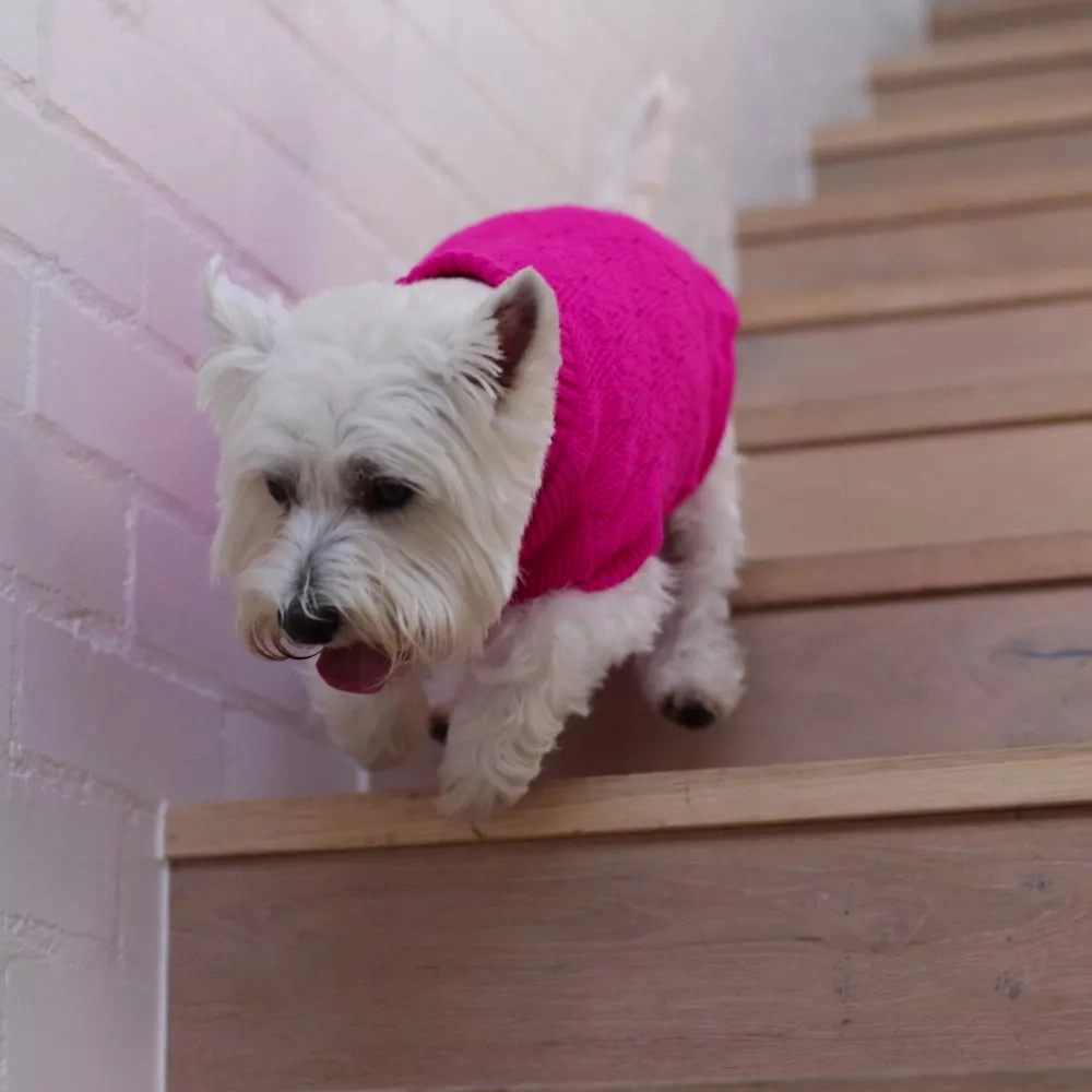 Raspberry Pink Dog Jumper