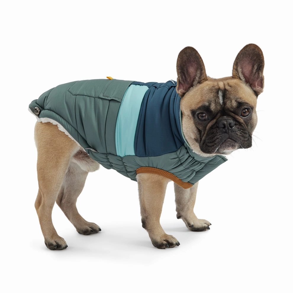 Retro Puffer Dog Coats - Sherpa Lined Water Resistant Dog Coat