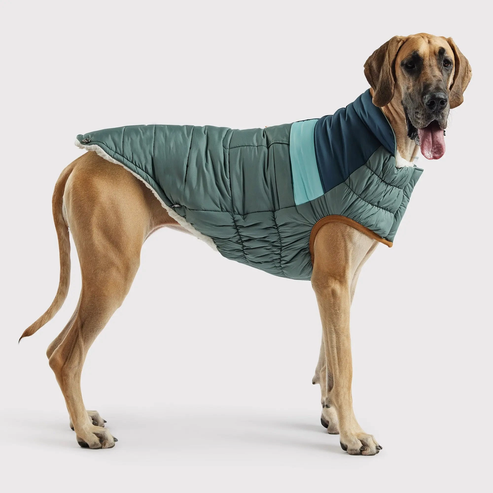 Retro Puffer Dog Coats - Sherpa Lined Water Resistant Dog Coat