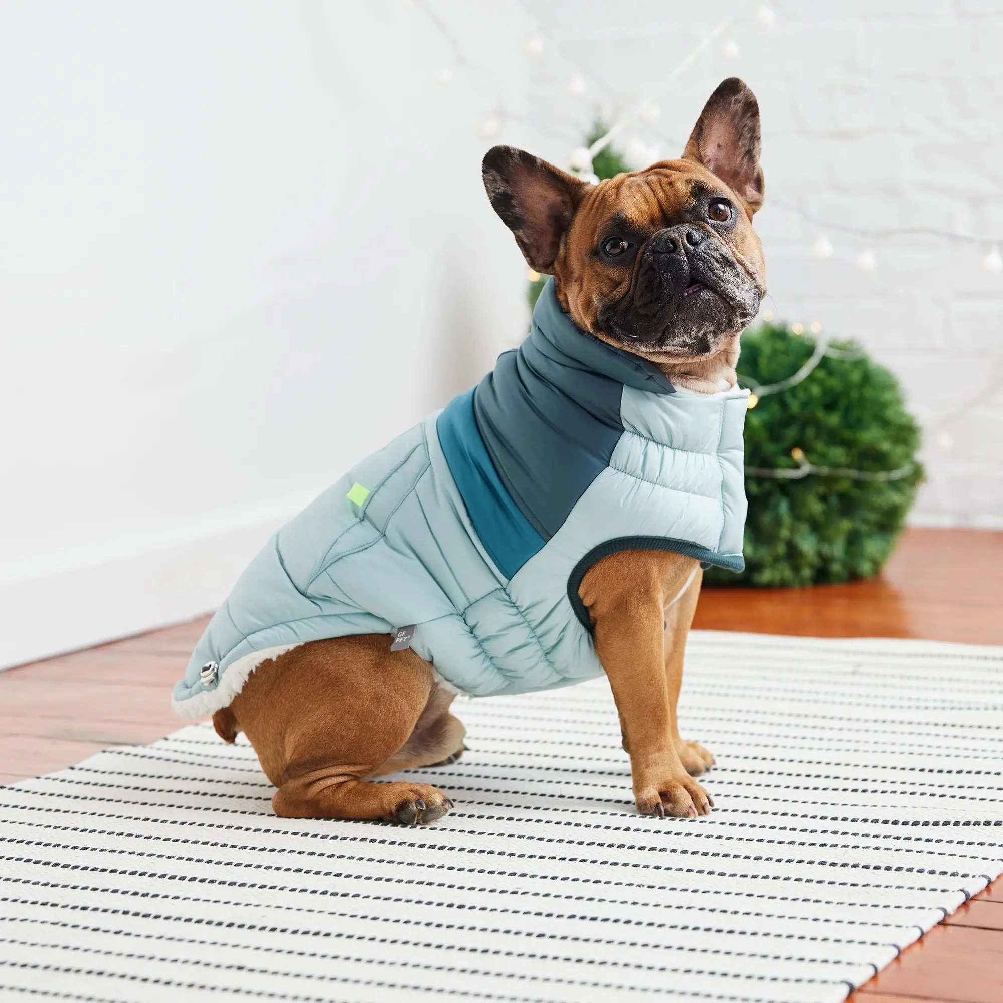 Retro Puffer Dog Coats - Sherpa Lined Water Resistant Dog Coat