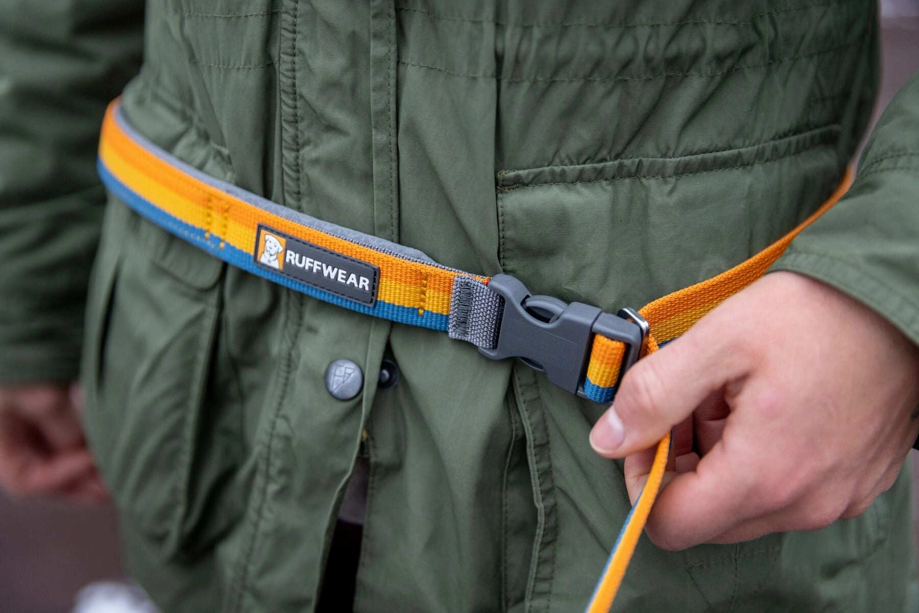 Roamer? Bungee Dog Leash