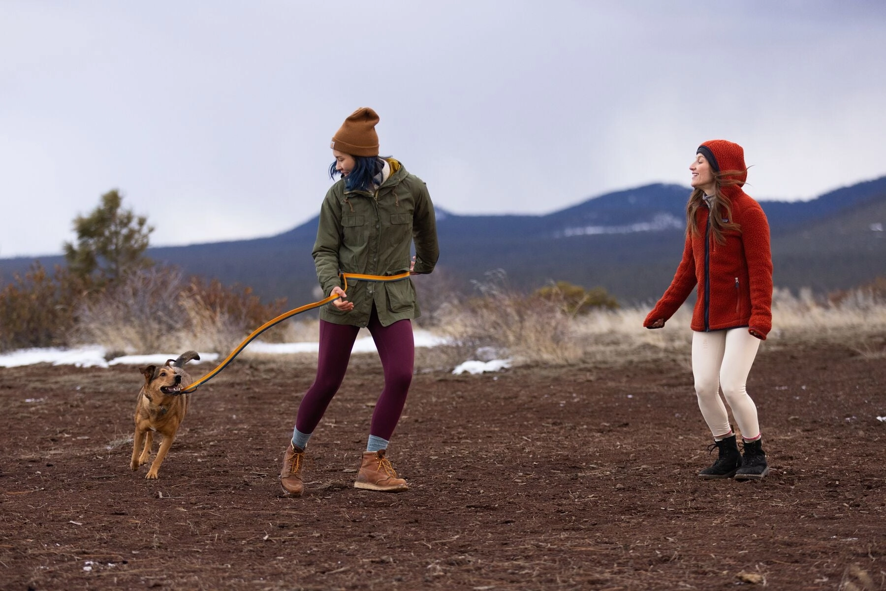 Roamer? Bungee Dog Leash