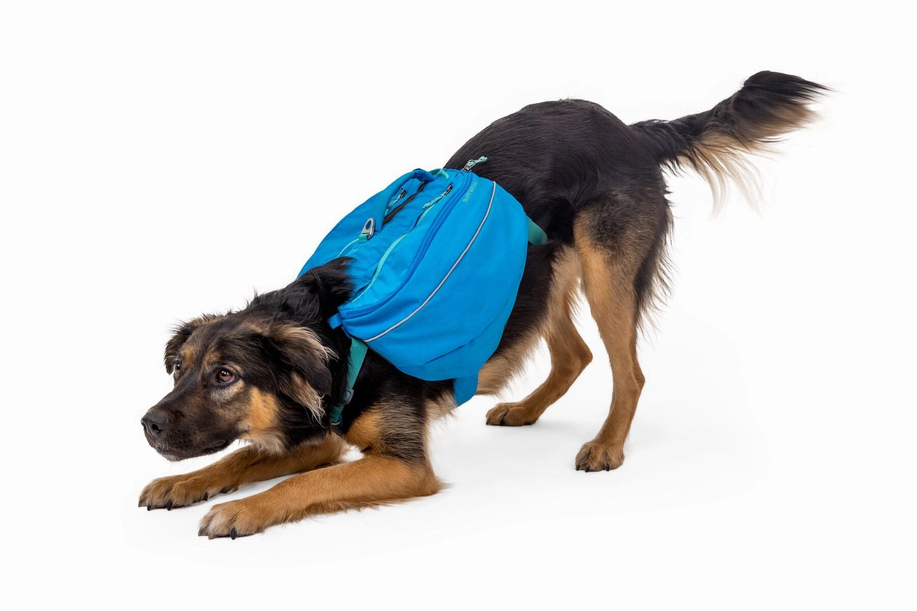 Ruffwear Approach Pack
