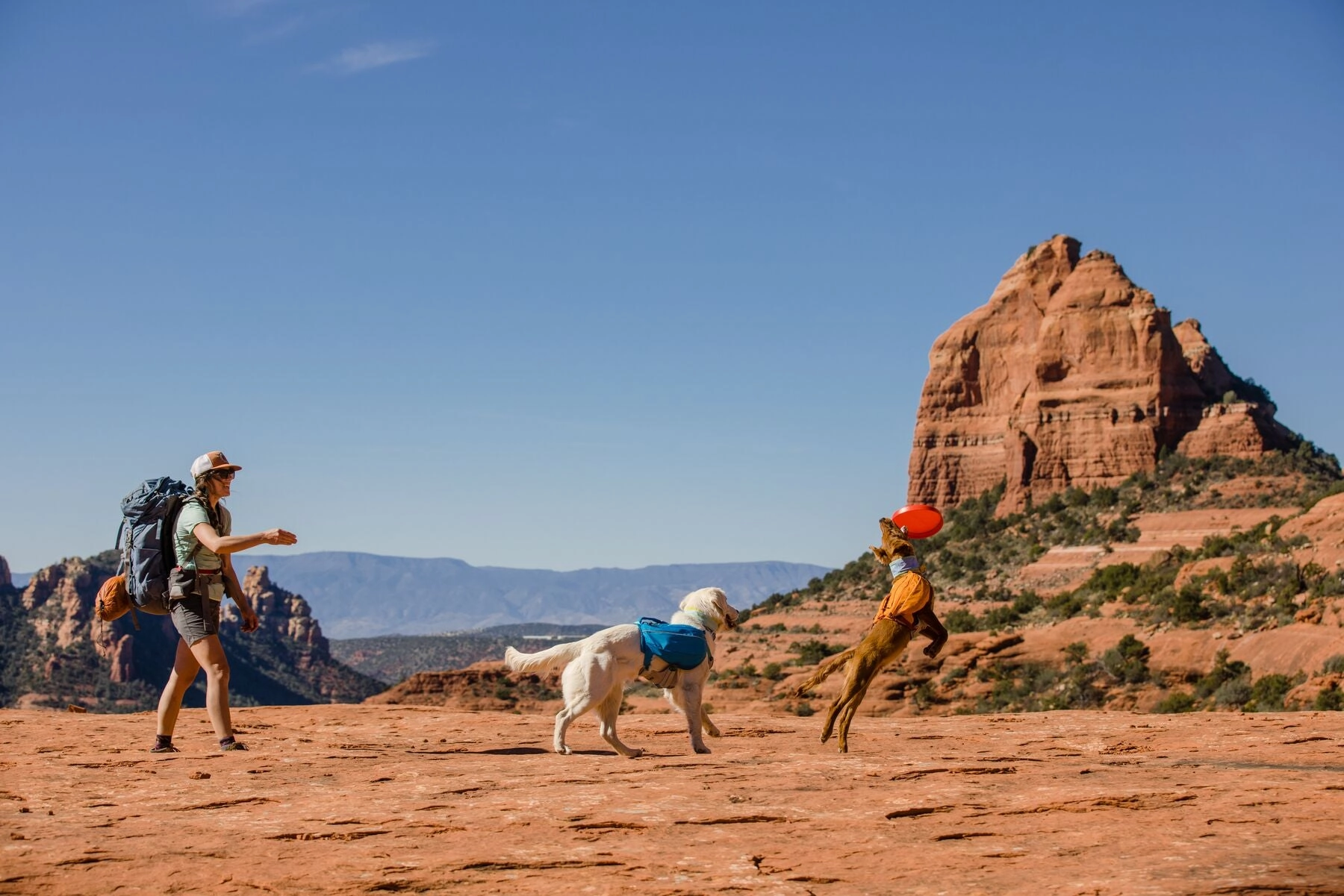 Ruffwear Approach Pack