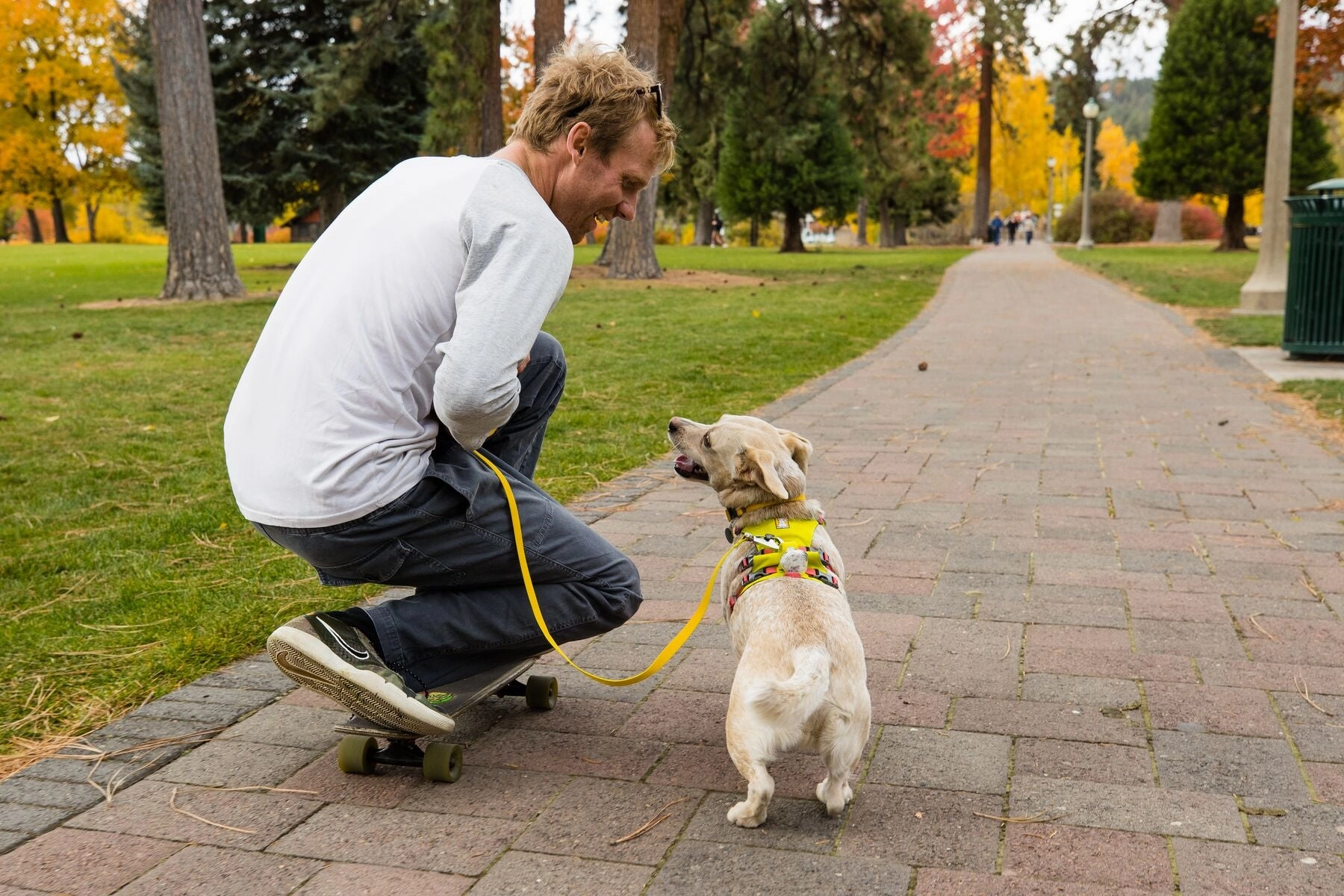 Ruffwear Flagline Padded Dog Harness With Handle