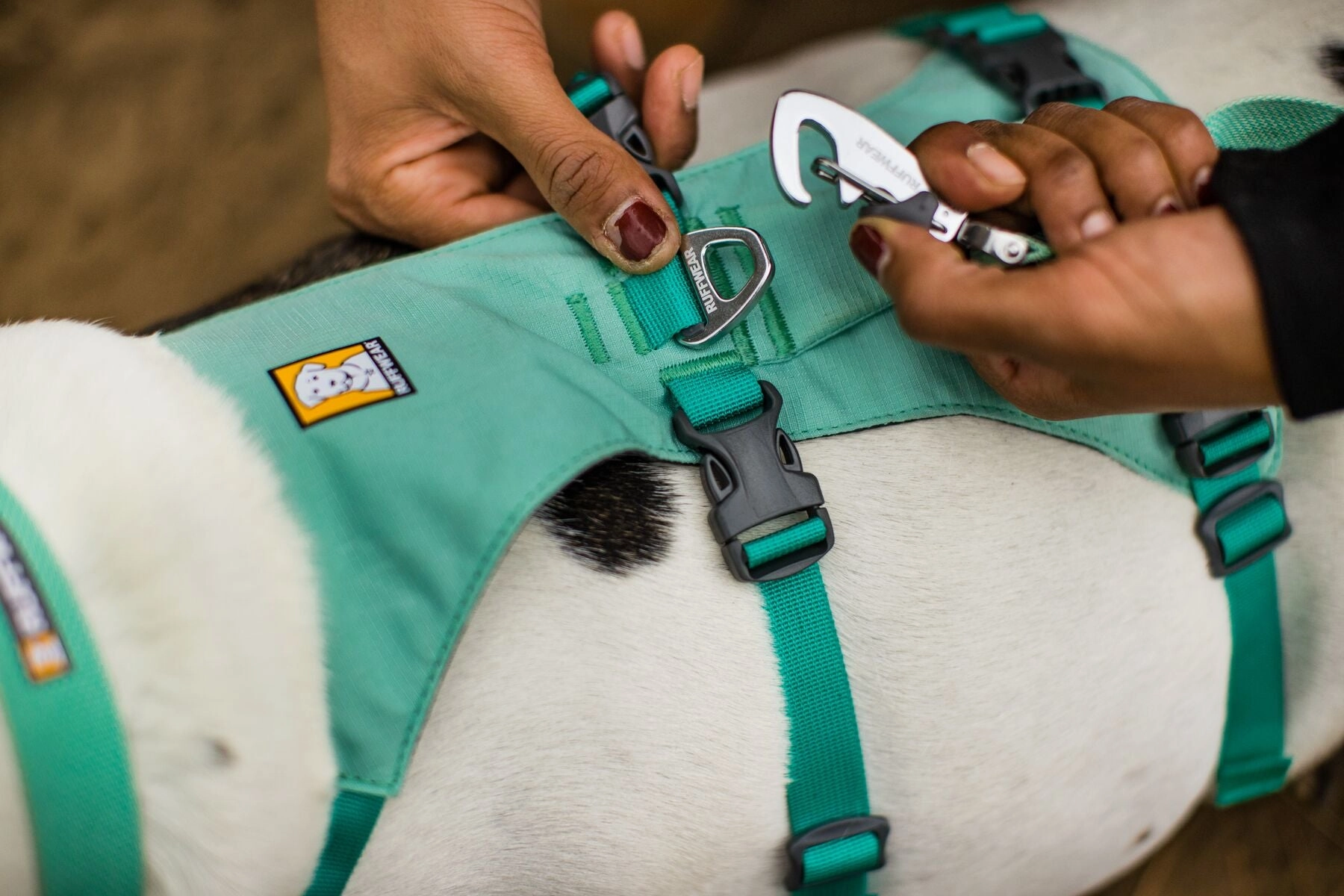 Ruffwear Flagline Padded Dog Harness With Handle