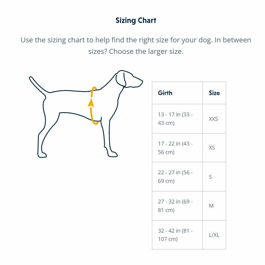Ruffwear Flagline Padded Dog Harness With Handle