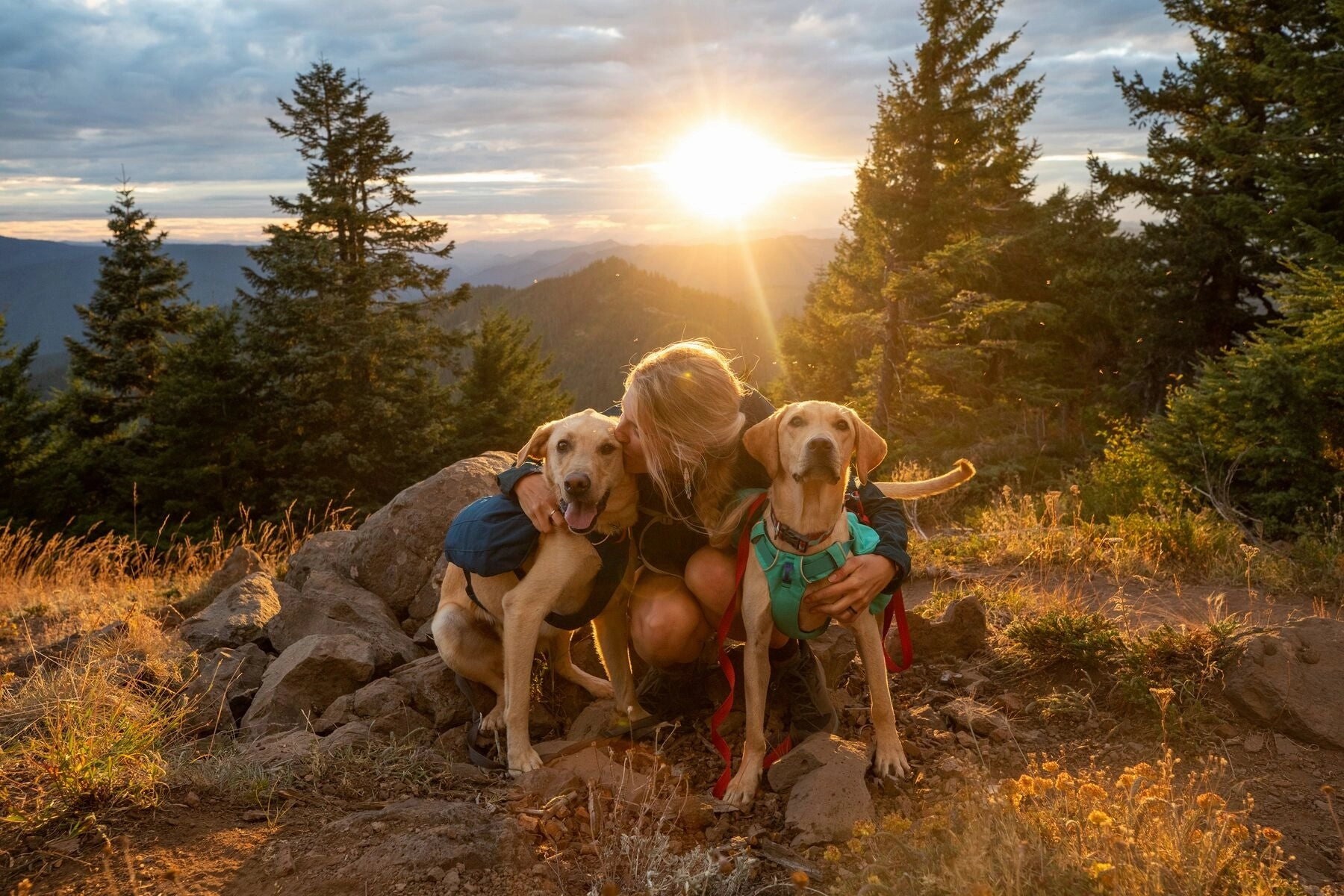 Ruffwear Front Range Day Pack