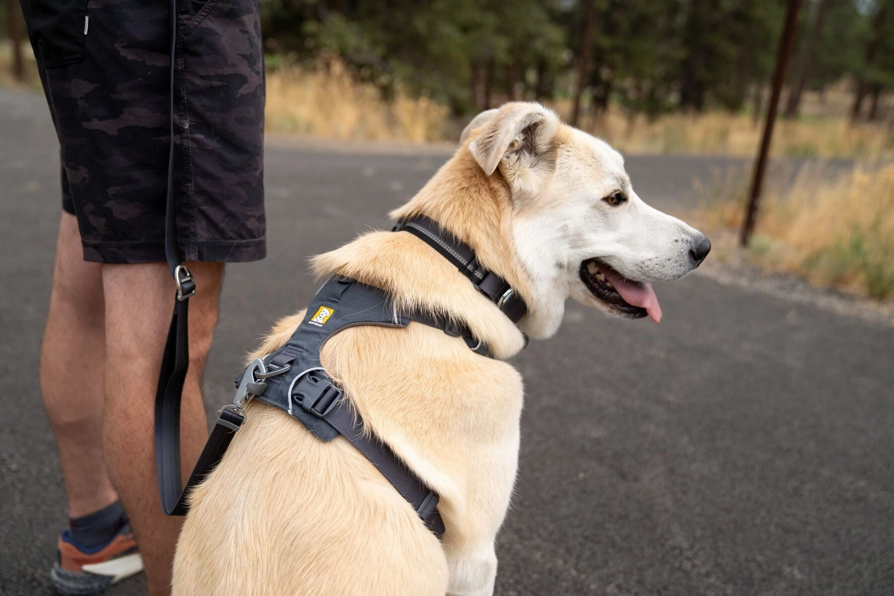 Ruffwear Front Range Harness