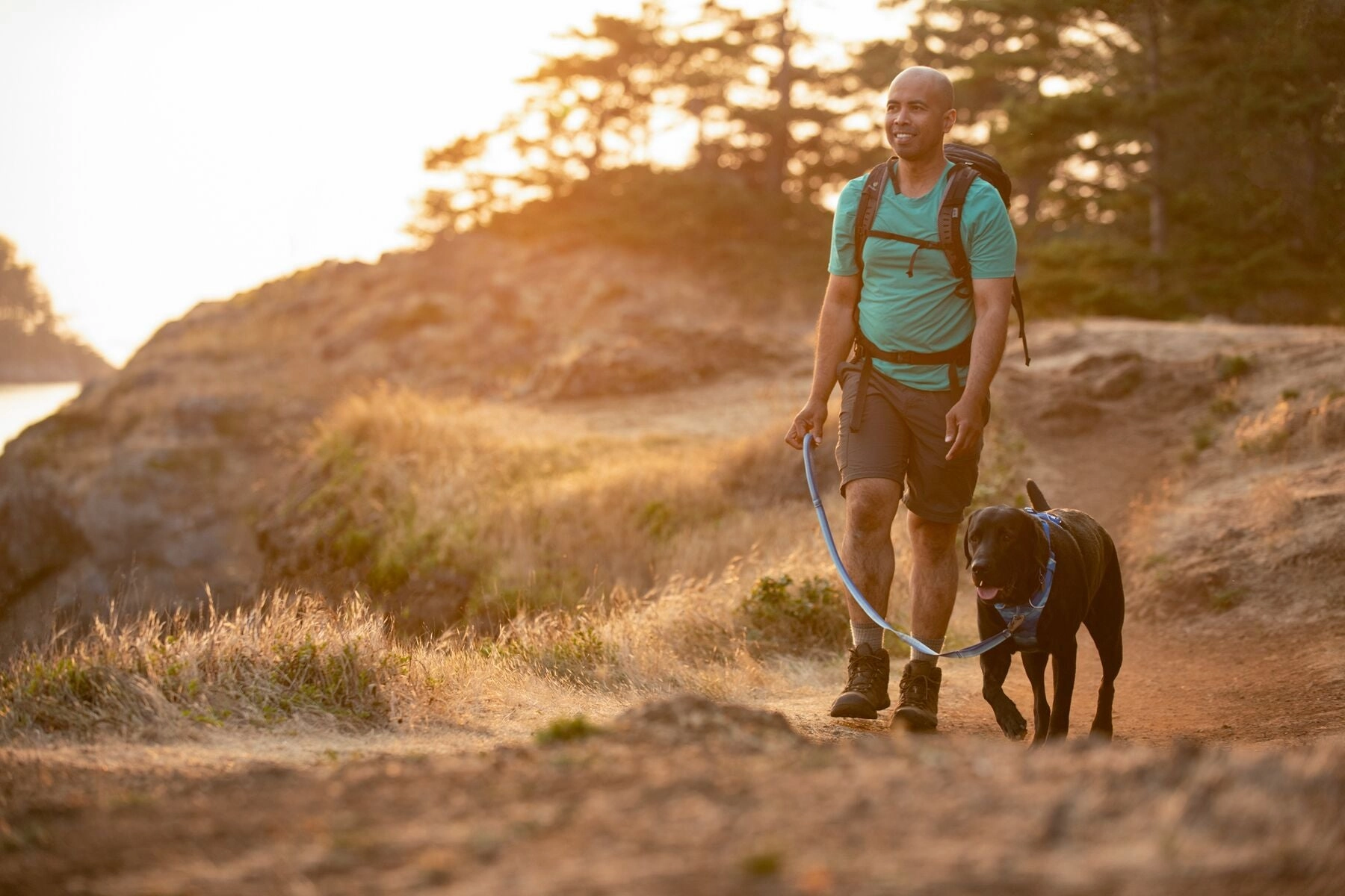 Ruffwear Front Range Harness