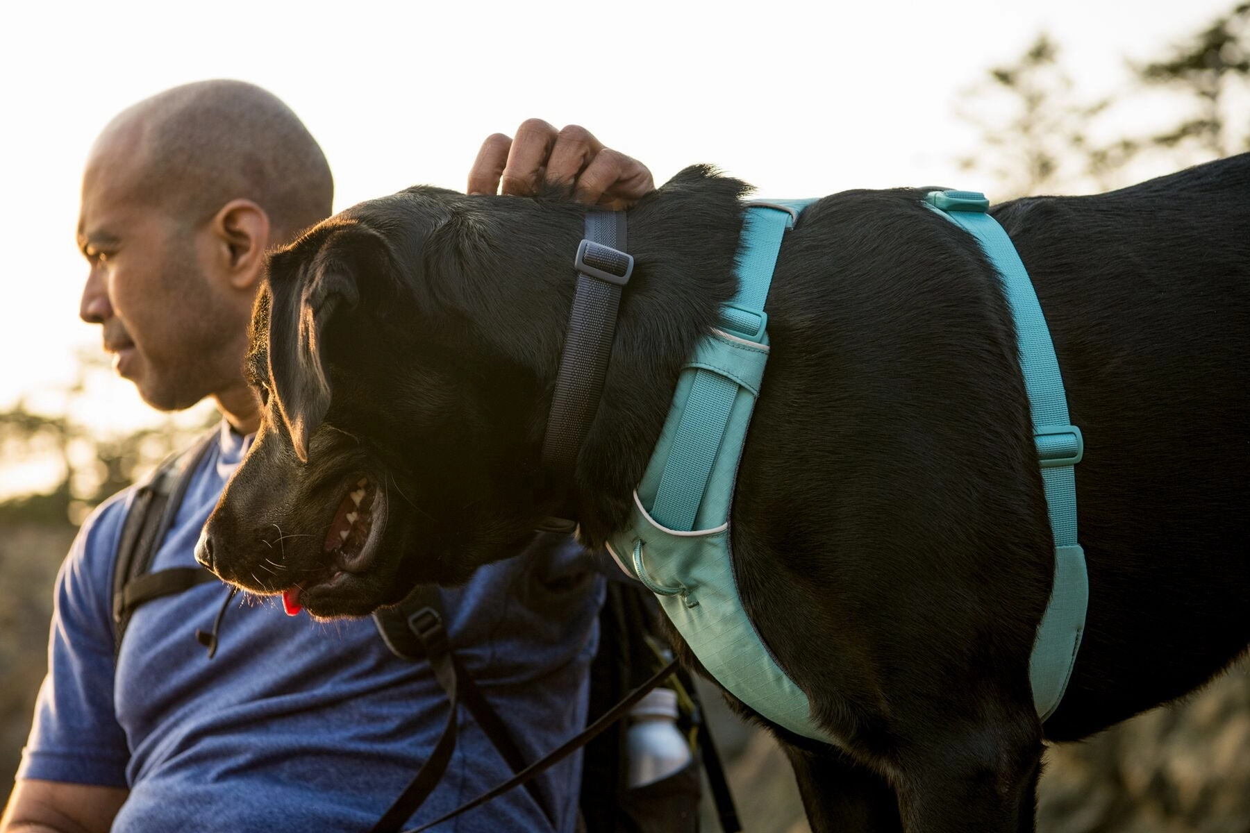 Ruffwear Front Range Harness