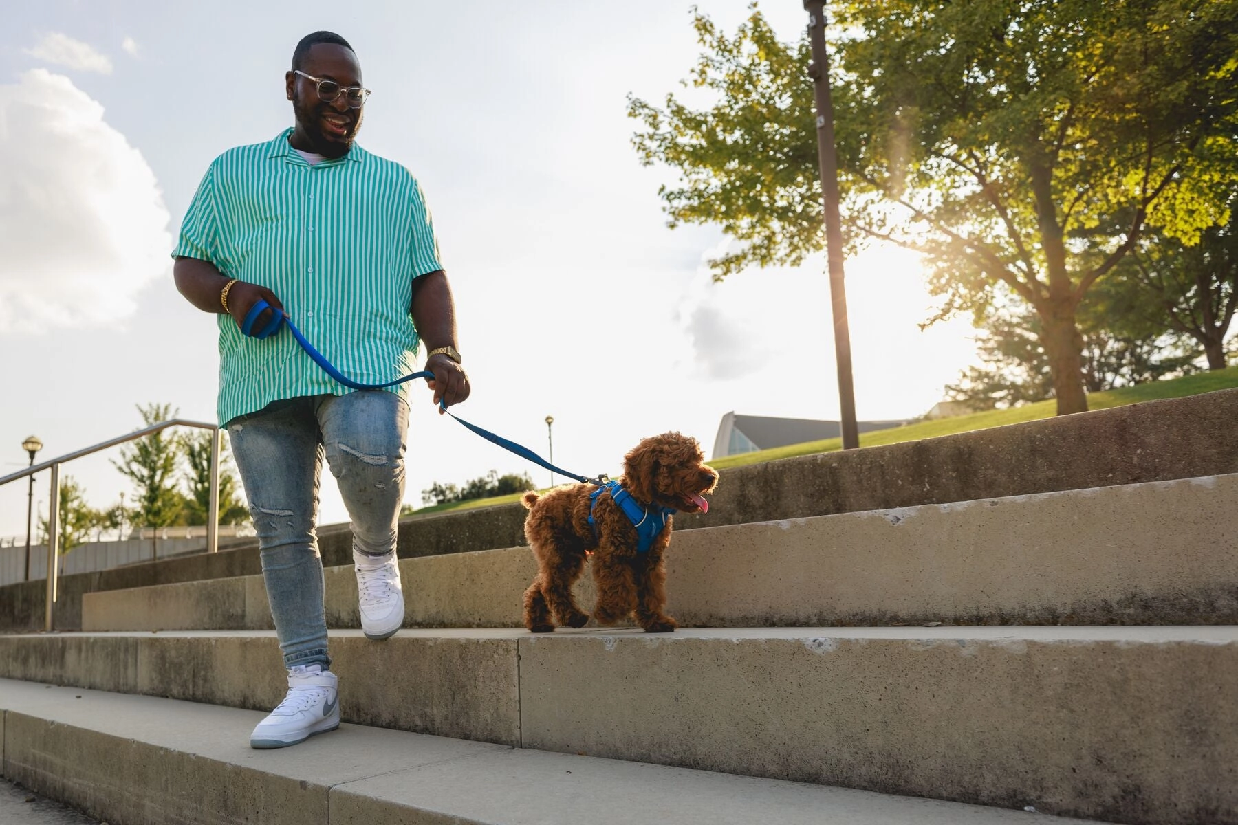 Ruffwear Front Range Harness