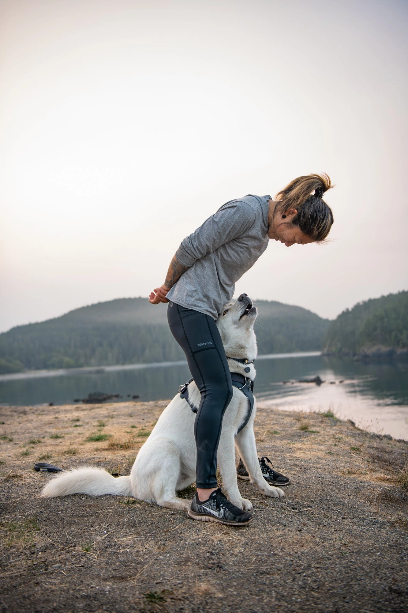 Ruffwear Front Range Harness