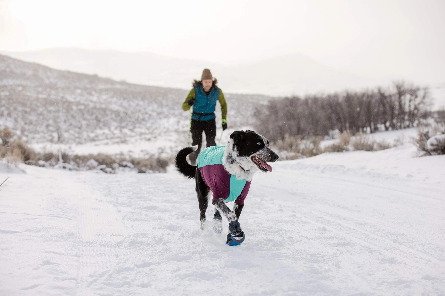 Ruffwear Powder Hound Dog Winter Jacket