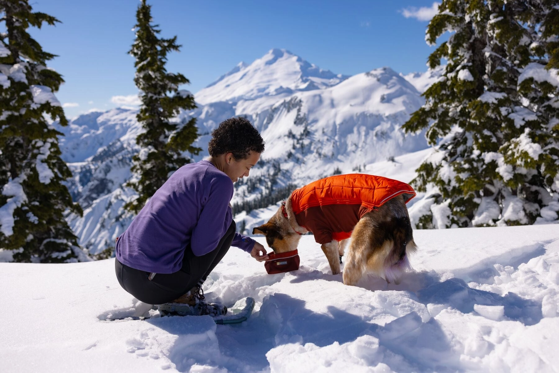 Ruffwear Powder Hound Dog Winter Jacket
