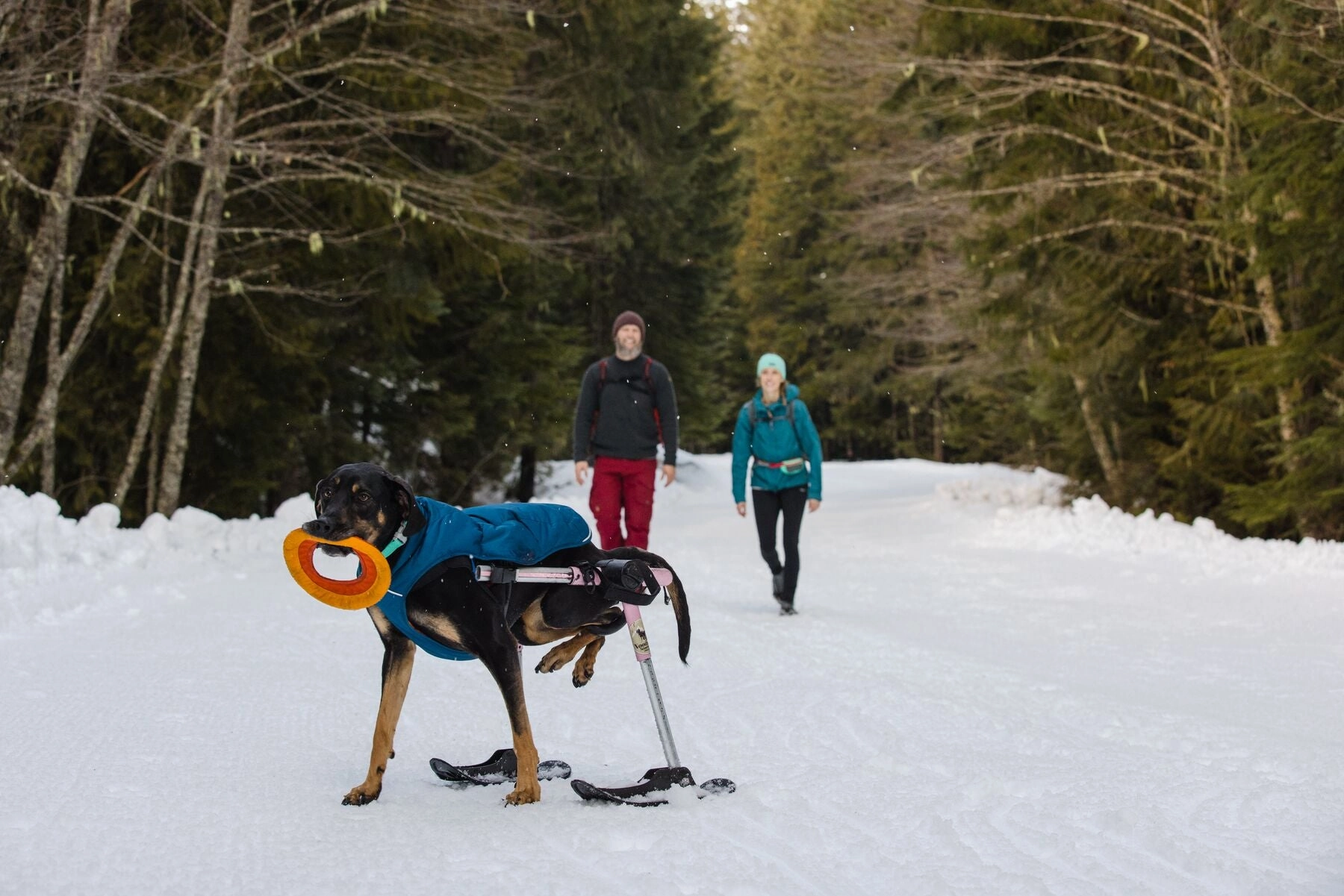Ruffwear Quinzee Dog Winter Coat