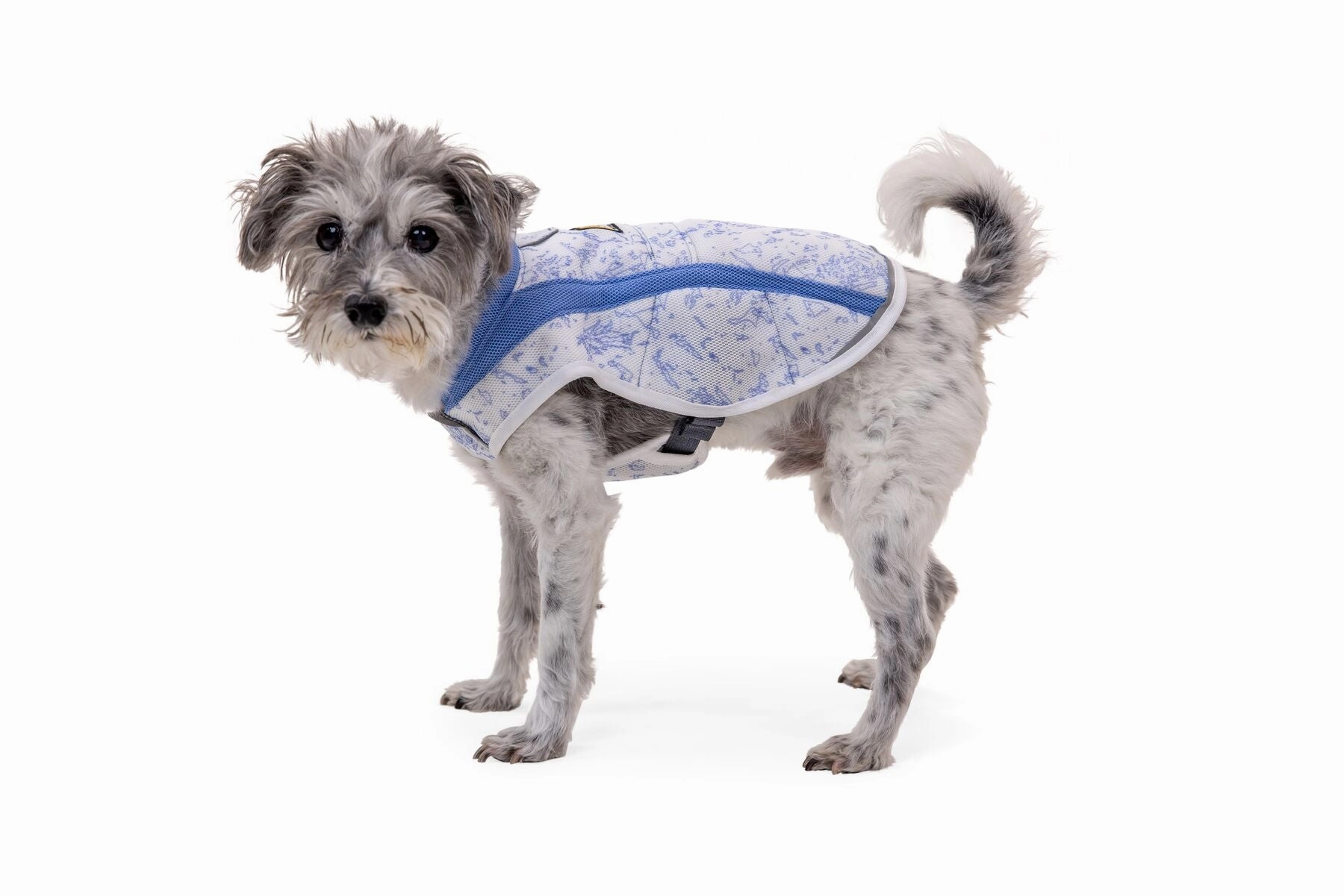 Ruffwear Swamp Cooler Dog Cooling Vest