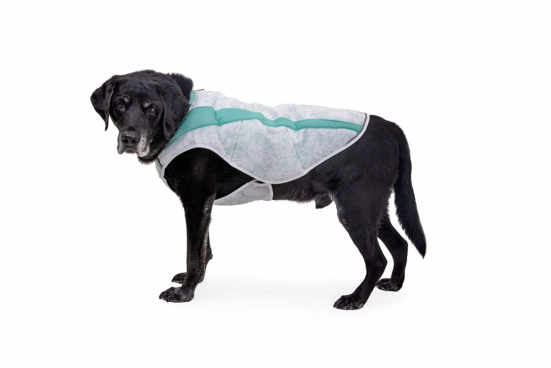 Ruffwear Swamp Cooler Dog Cooling Vest
