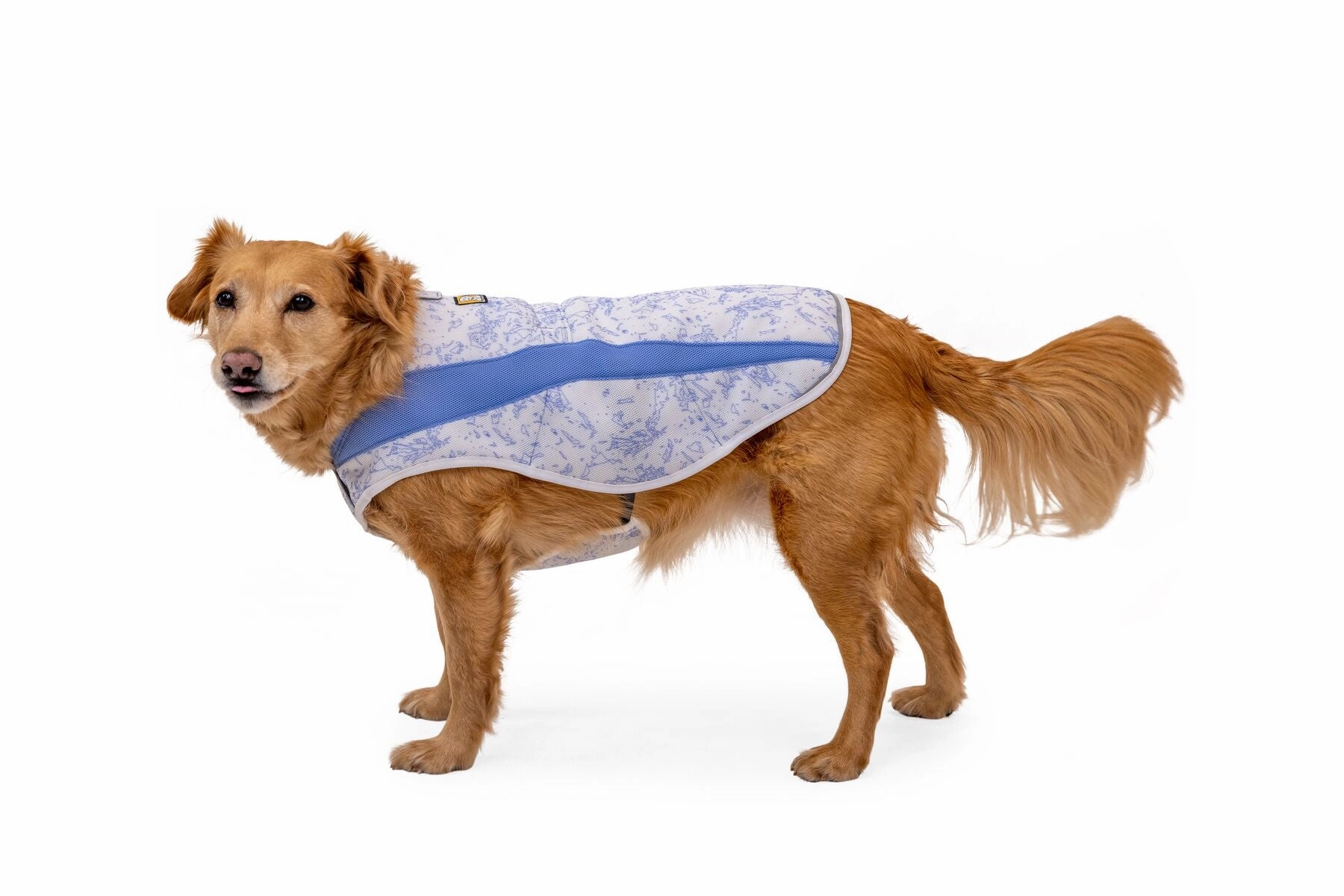 Ruffwear Swamp Cooler Dog Cooling Vest