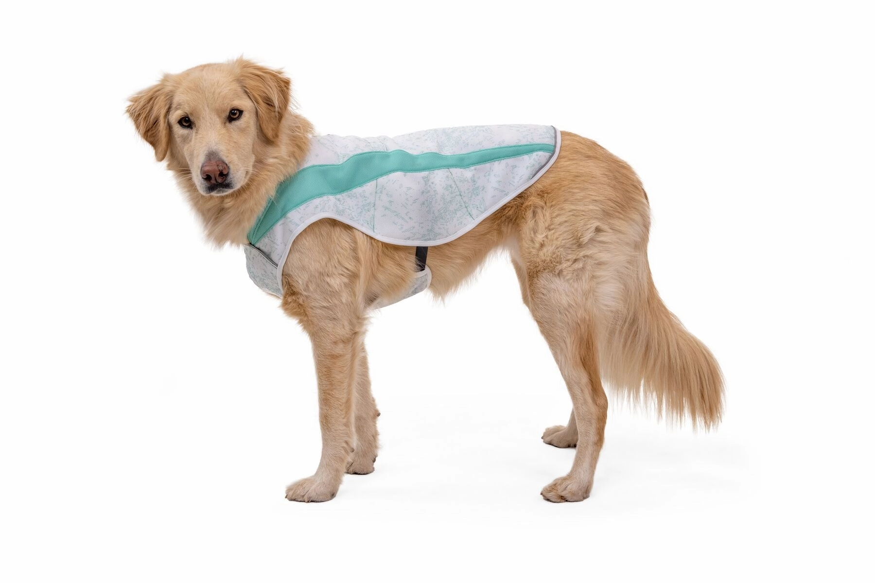 Ruffwear Swamp Cooler Dog Cooling Vest