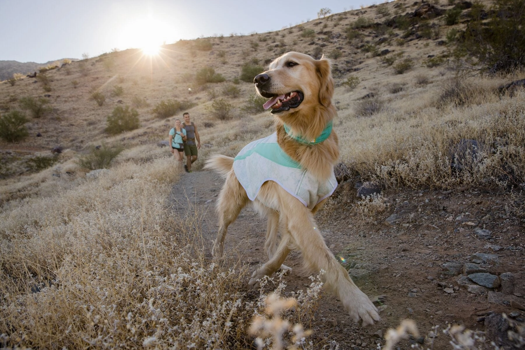 Ruffwear Swamp Cooler Dog Cooling Vest