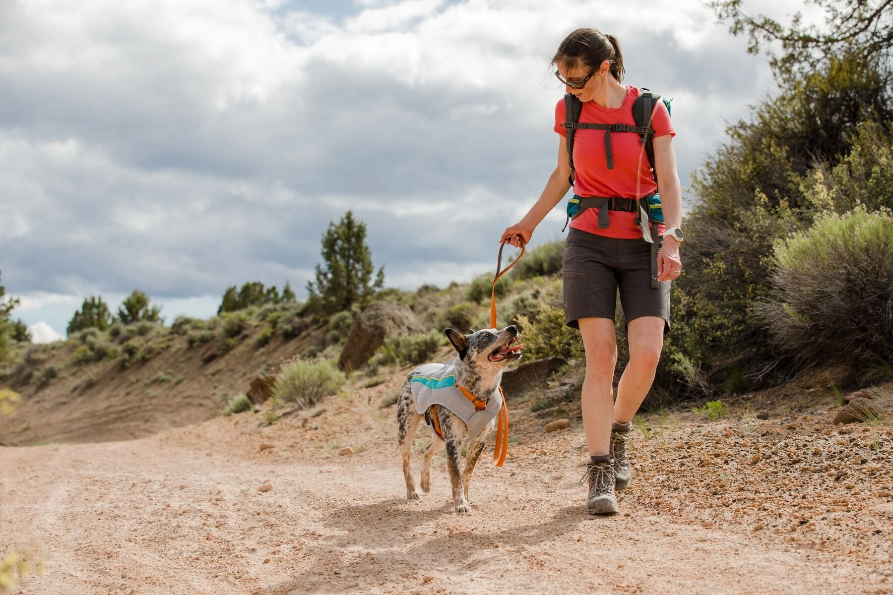 Ruffwear Swamp Cooler Dog Cooling Vest