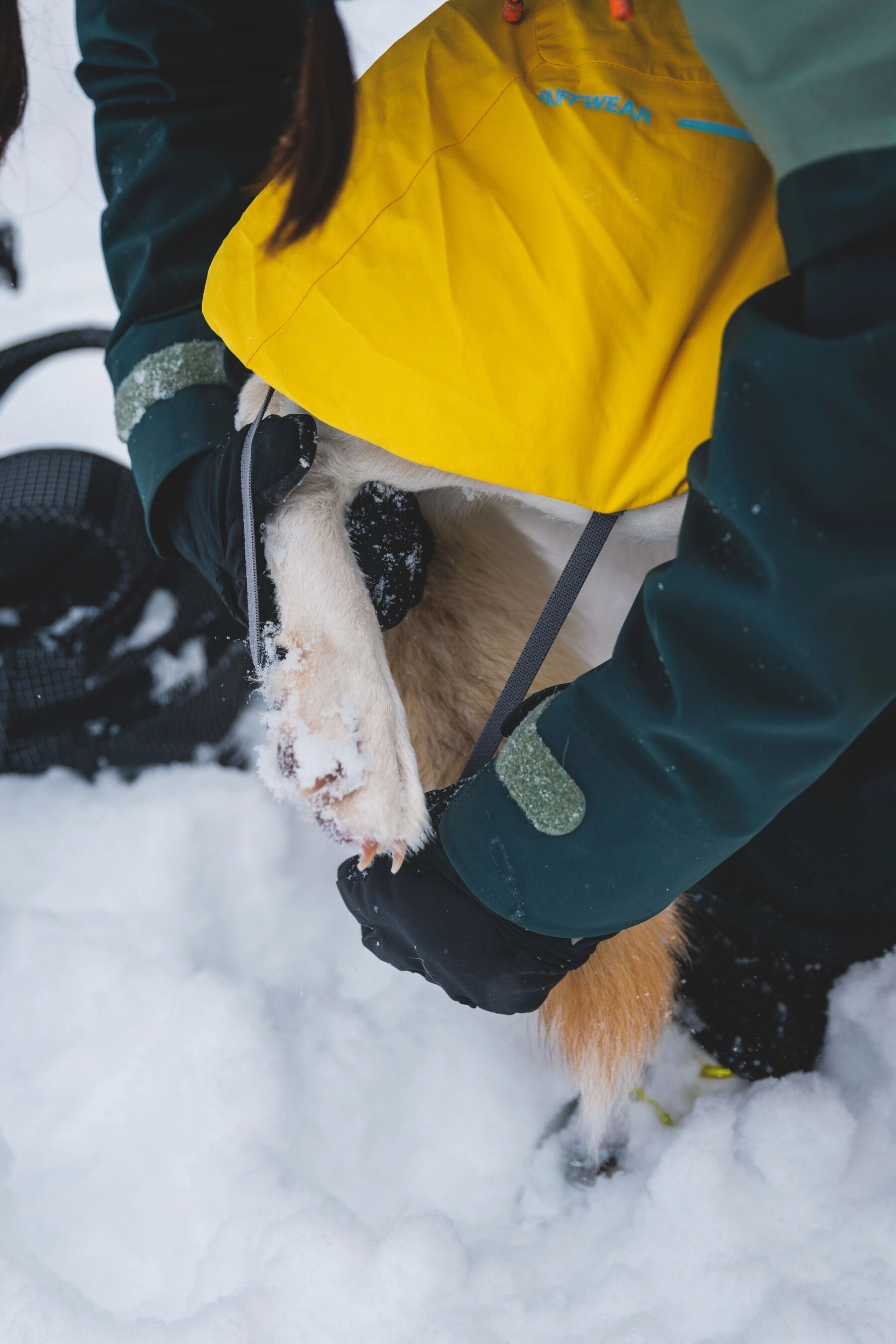 Ruffwear Vert Waterproof Dog Coat