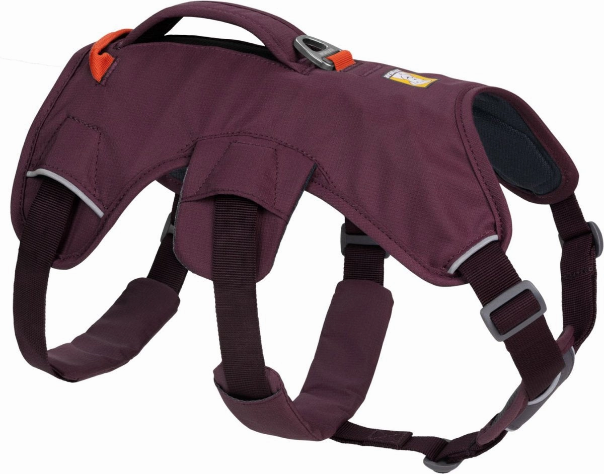 Ruffwear Web Master Harness