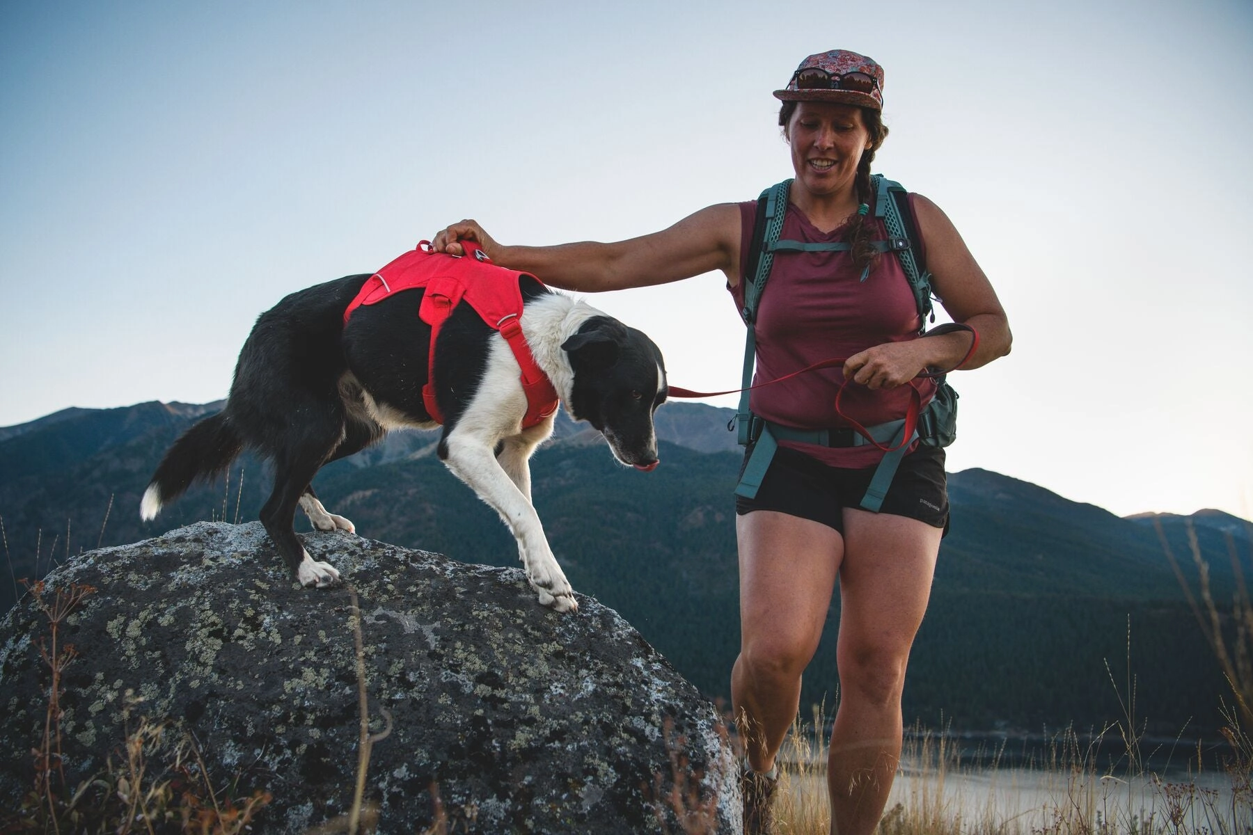 Ruffwear Web Master Harness