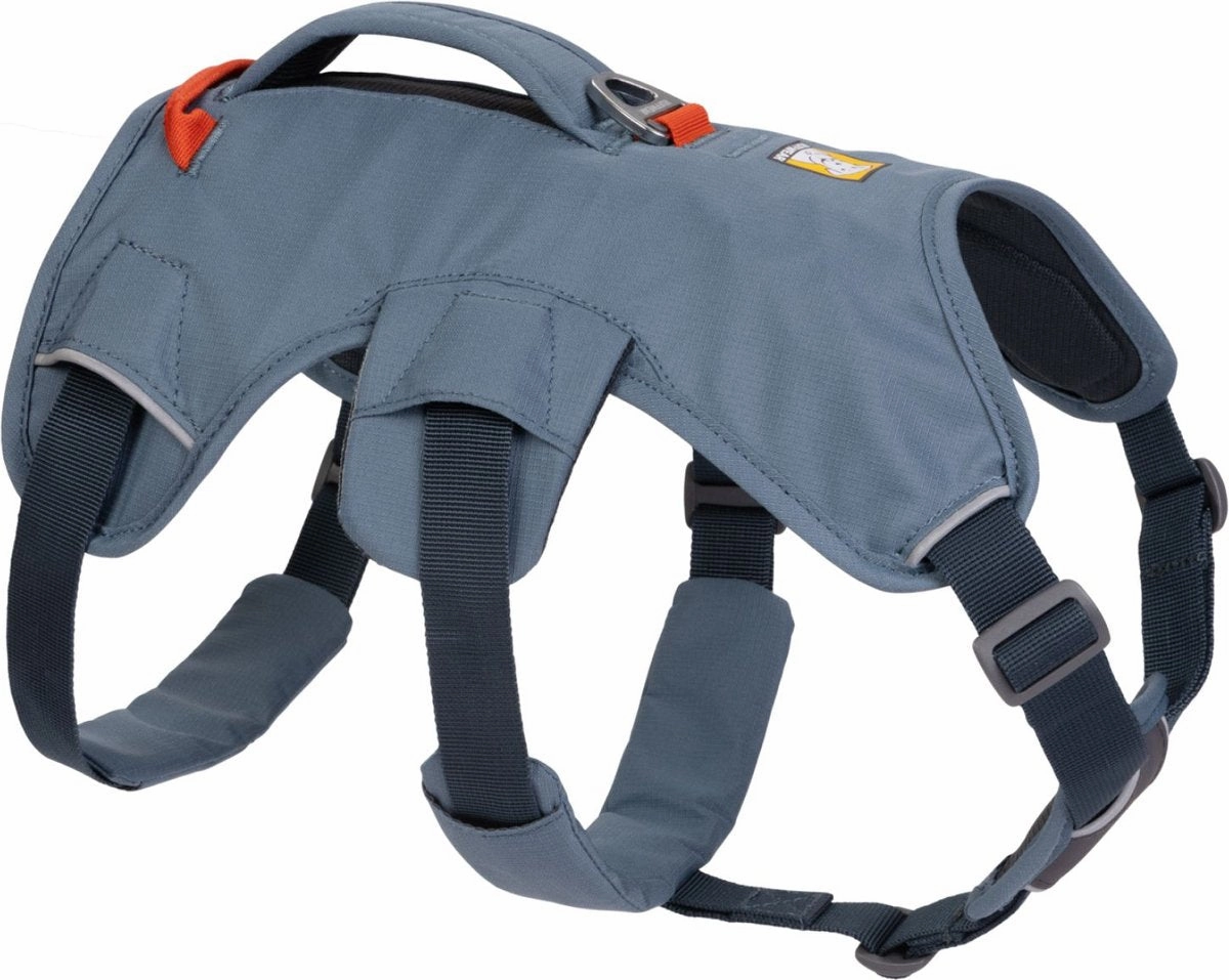Ruffwear Web Master Harness - Slate Blue XXS (Customer Return)