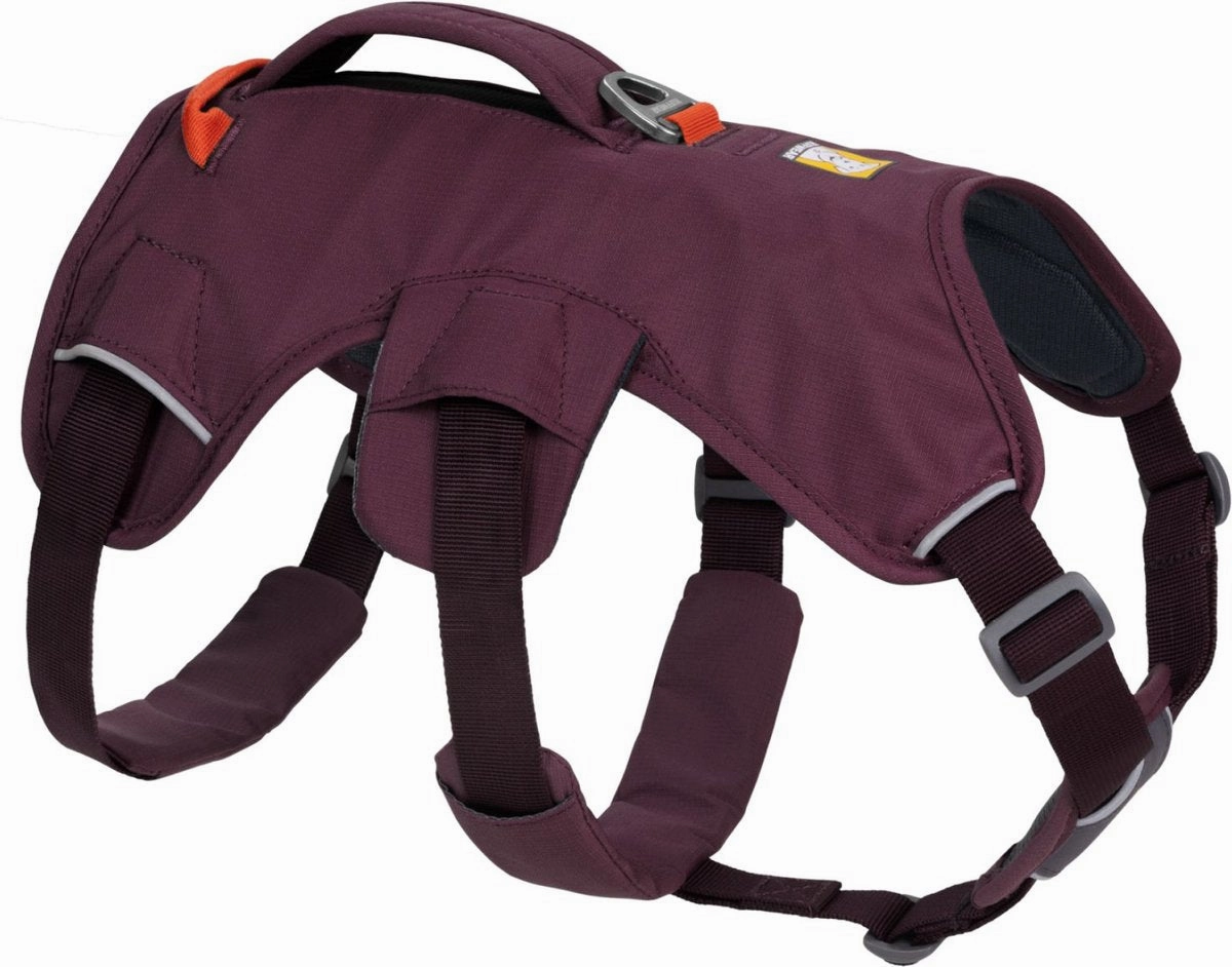 Ruffwear Web Master Harness