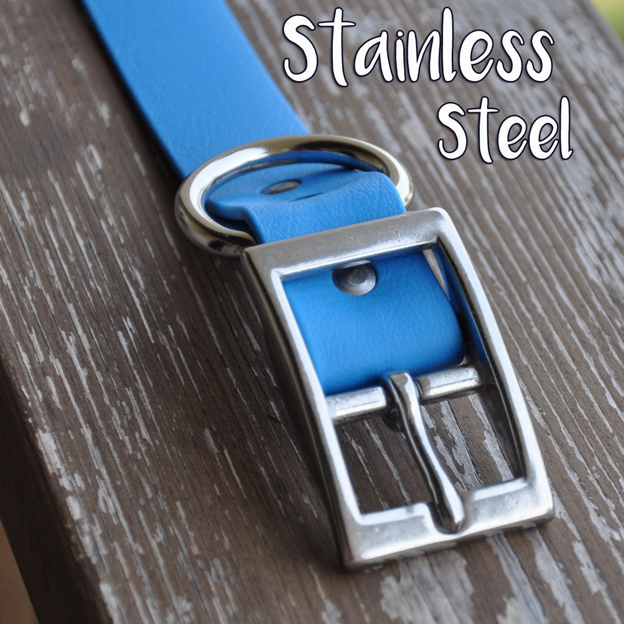 SaltyDog Saltwater Proof Stainless Steel Dog Collars